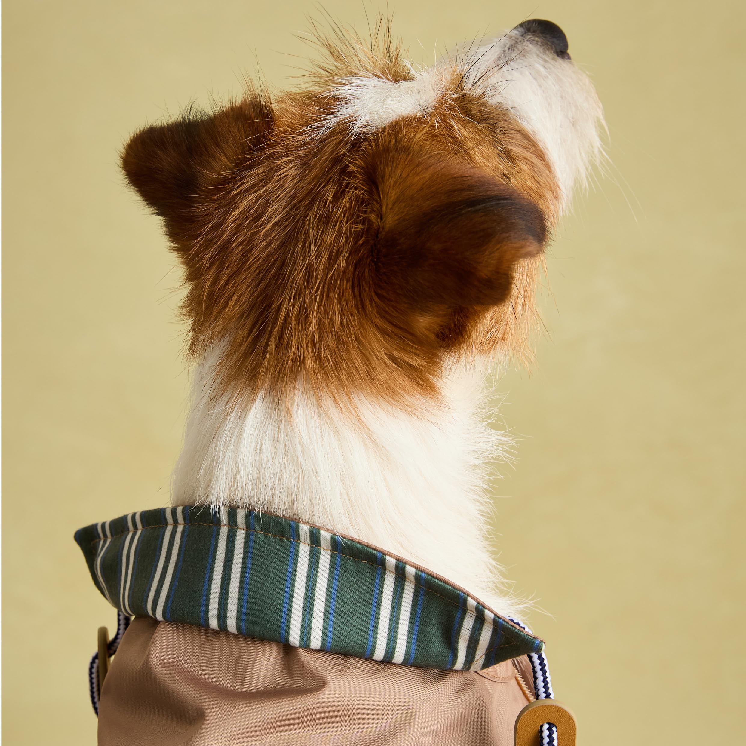 Rosewood X Joules Burra Imperméable pour Petit Chien Lavable Léger Imperméable Marron Taille S