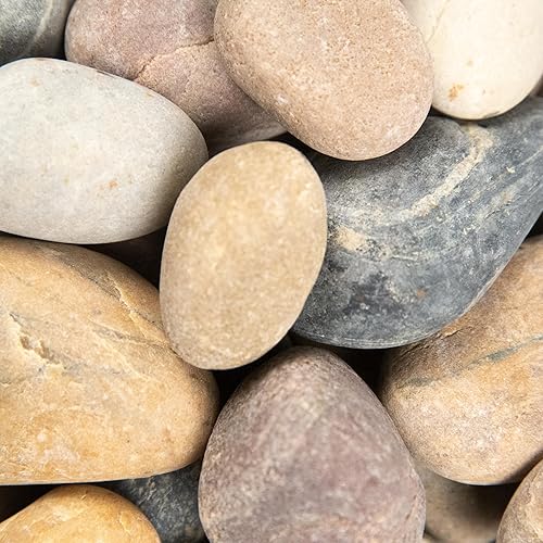 Vista 38 de MSI Guijarros multicolor pulidos decorativos, 1.2 pulgadas - 2 pulgadas, bolsa de 40 libras