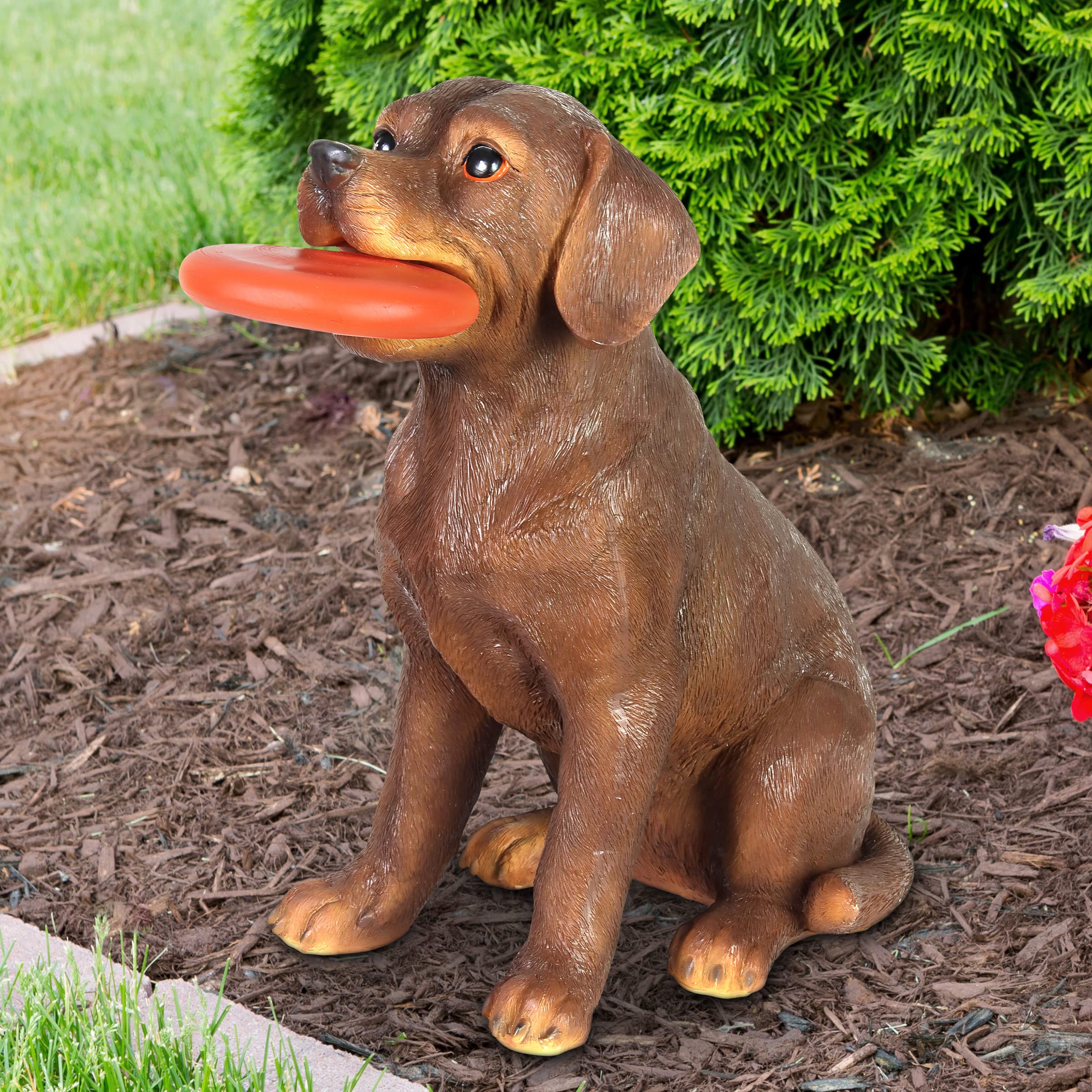 Exhart Solar Chocolate Labrador Retriever Dog with LED Frisbee