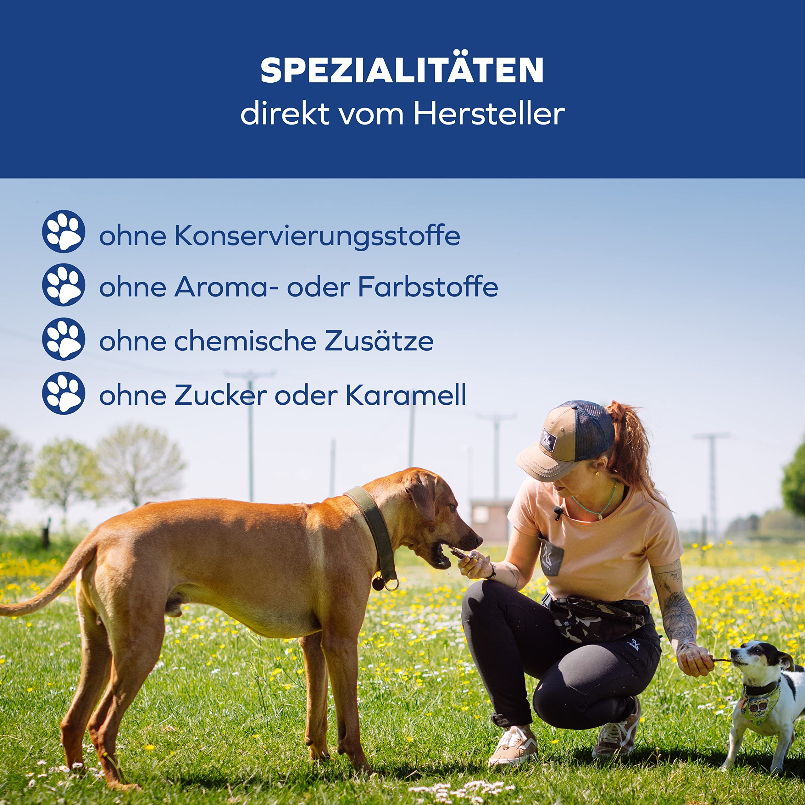 Geperst Buffelhuid/ Been 22cm - , de goedkope