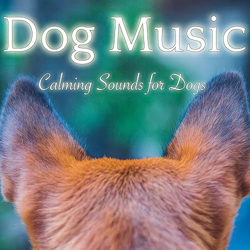 dog music dreams & relaxmydog calm my dog