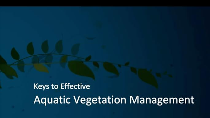 Amazon.com : Dimension 2EW Dithiopyr Pre-Emergent Herbicide ...