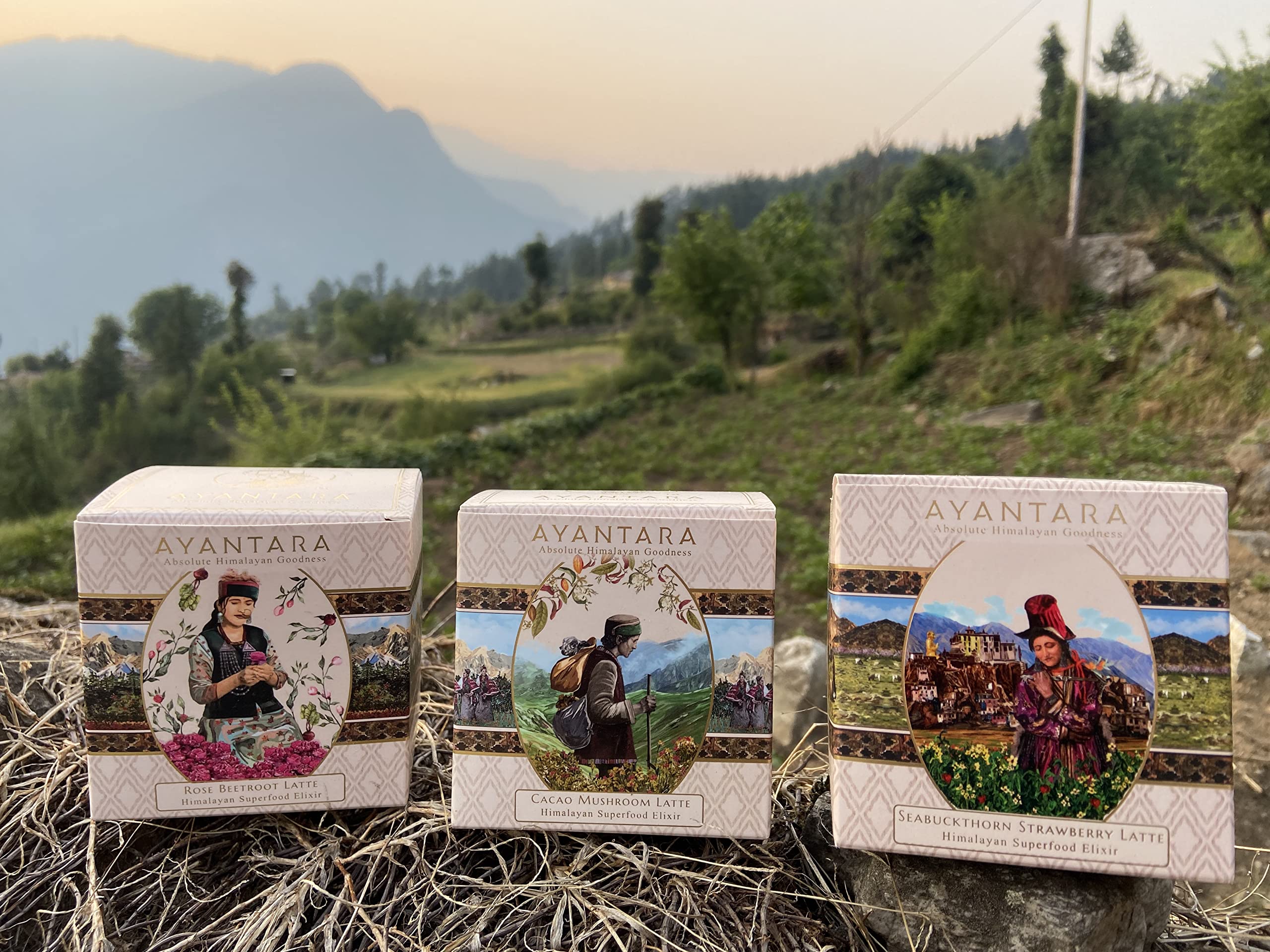 Ayantara Seabuckthorn Strawberry Mix/Latte | Omega 3, 6, 7 & 9 + 30X Vitamin C | Himalayan Superfood | Supports Glowing Skin & Heart Health| 100% Natural, Zero Sugar & Caffeine-Free | No Preservatives | 16 Sachets - Image 8 thumbnail