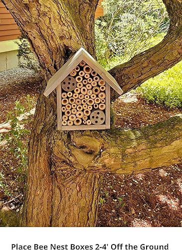Miniatura 2 de Cestari Bamboo Tube Bee Hotel para abejas solitarias - Atrae polinizadores suaves a tu jardín con una abeja de madera segura certificada FSC