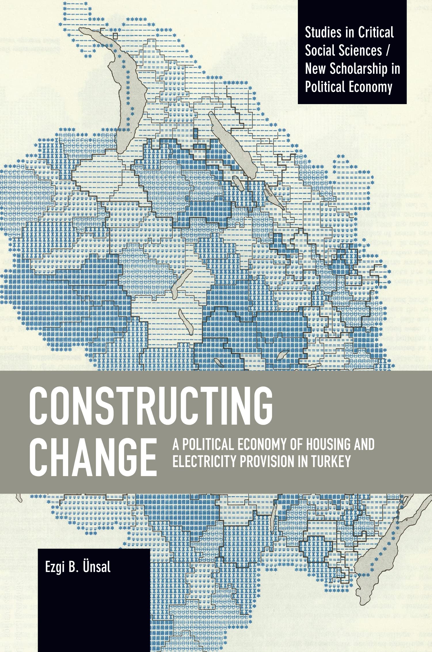 Constructing Change: A Political Economy of Housing and Electricity Provision in Turkey (Studies in Critical Social Sciences)
