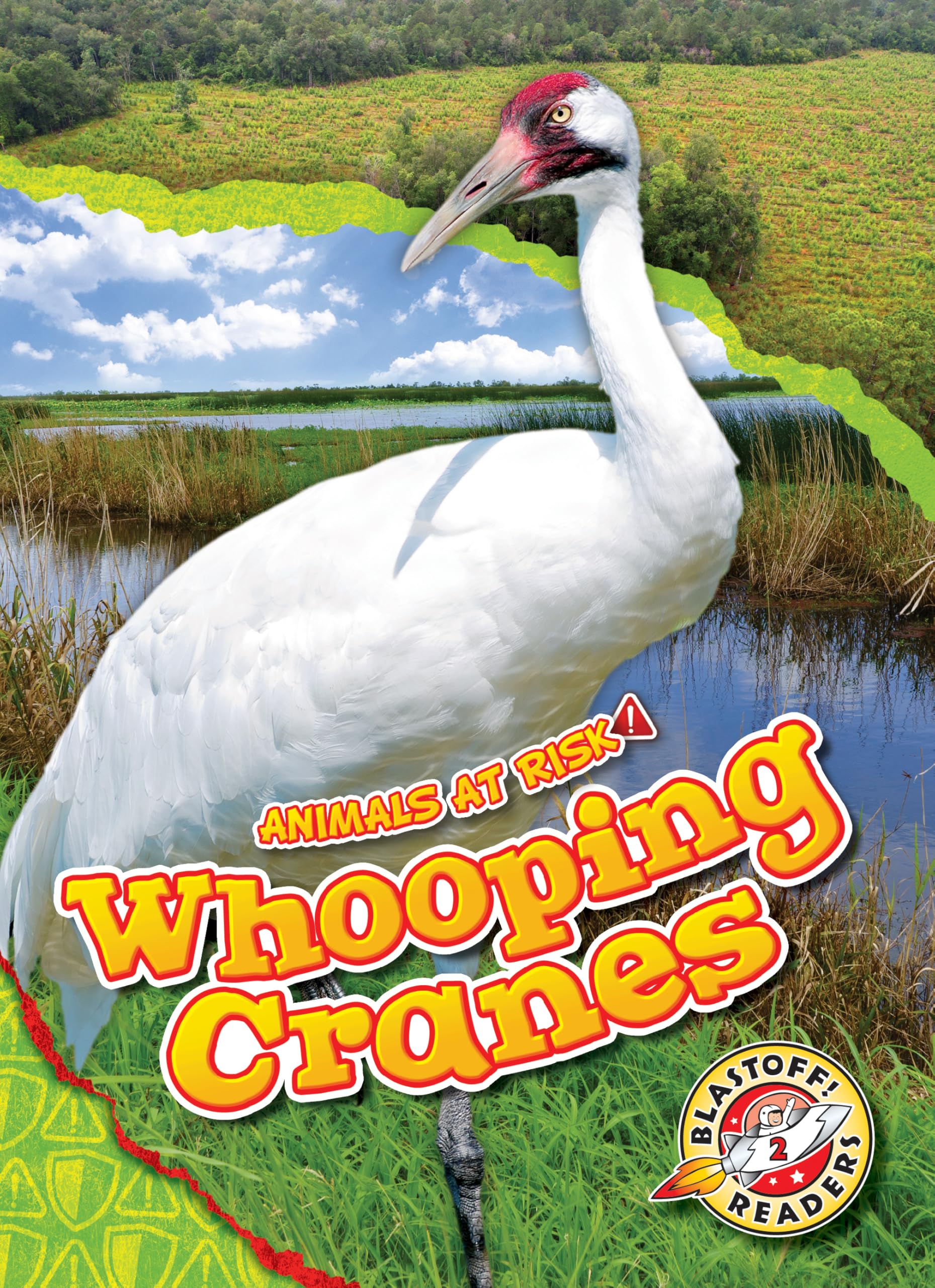 Whooping Cranes - Animals At Risk Series, Beginners Nonfiction Reading for Kindergarten - Grade 3 - Blastoff! Readers Collection