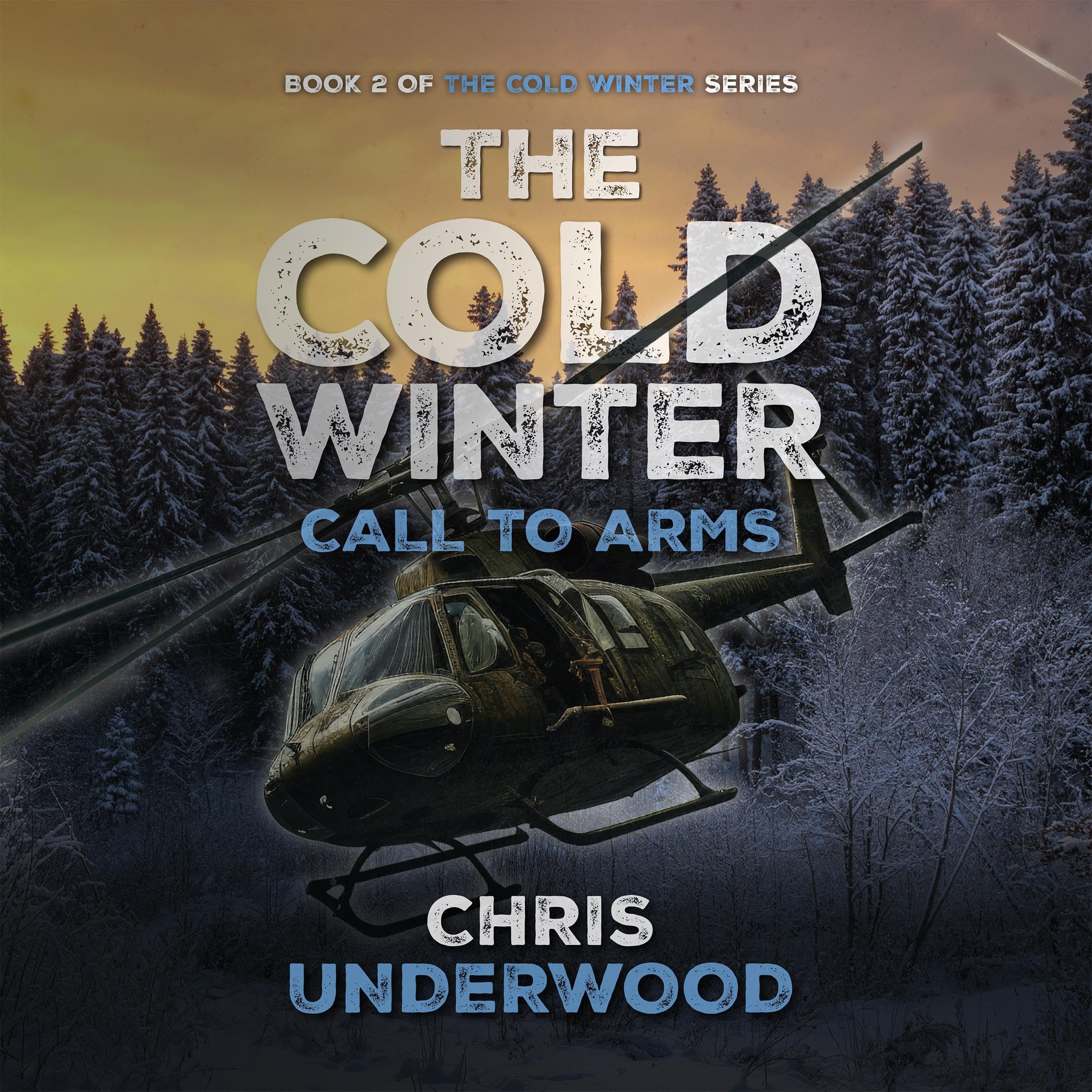 Cover art for The Cold Winter: Call to Arms