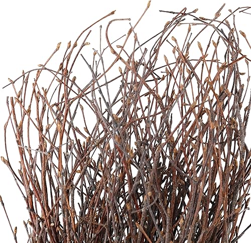 Miniatura 4 de SOUJOY 100 ramitas de abedul para jarrón, ramas de abedul secas naturales de 16 pulgadas, decoración artesanal de abedul para bricolaje, centros de