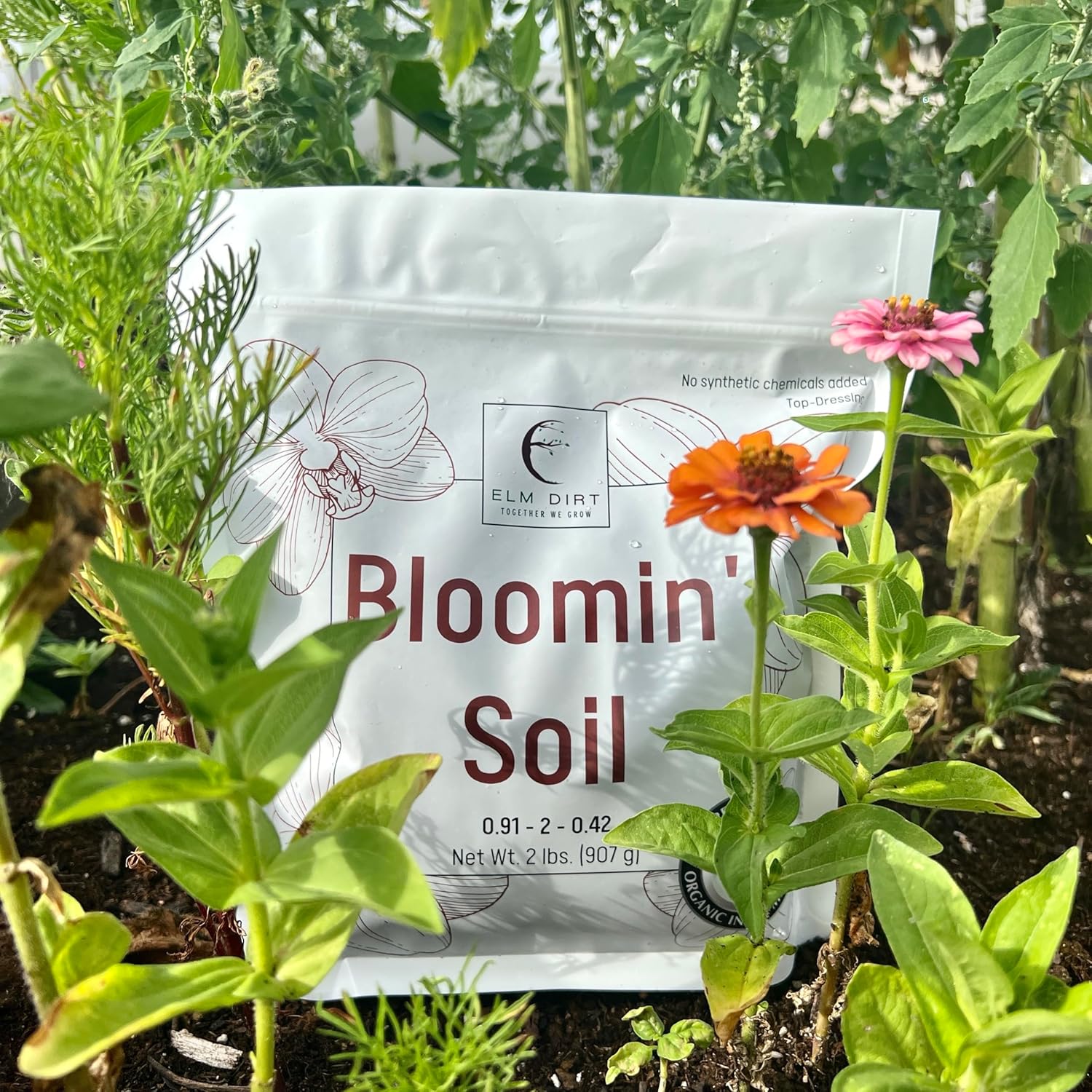 Elm Dirt Premium Ancient Soil & Bloom Soil for All Plants - 100% Organic Plant Soil for Outdoor Plants & Indoor Plant Soil | Garden Soil for Plant Nutrients Growth & Protect your Plants Bugs (2lbs)