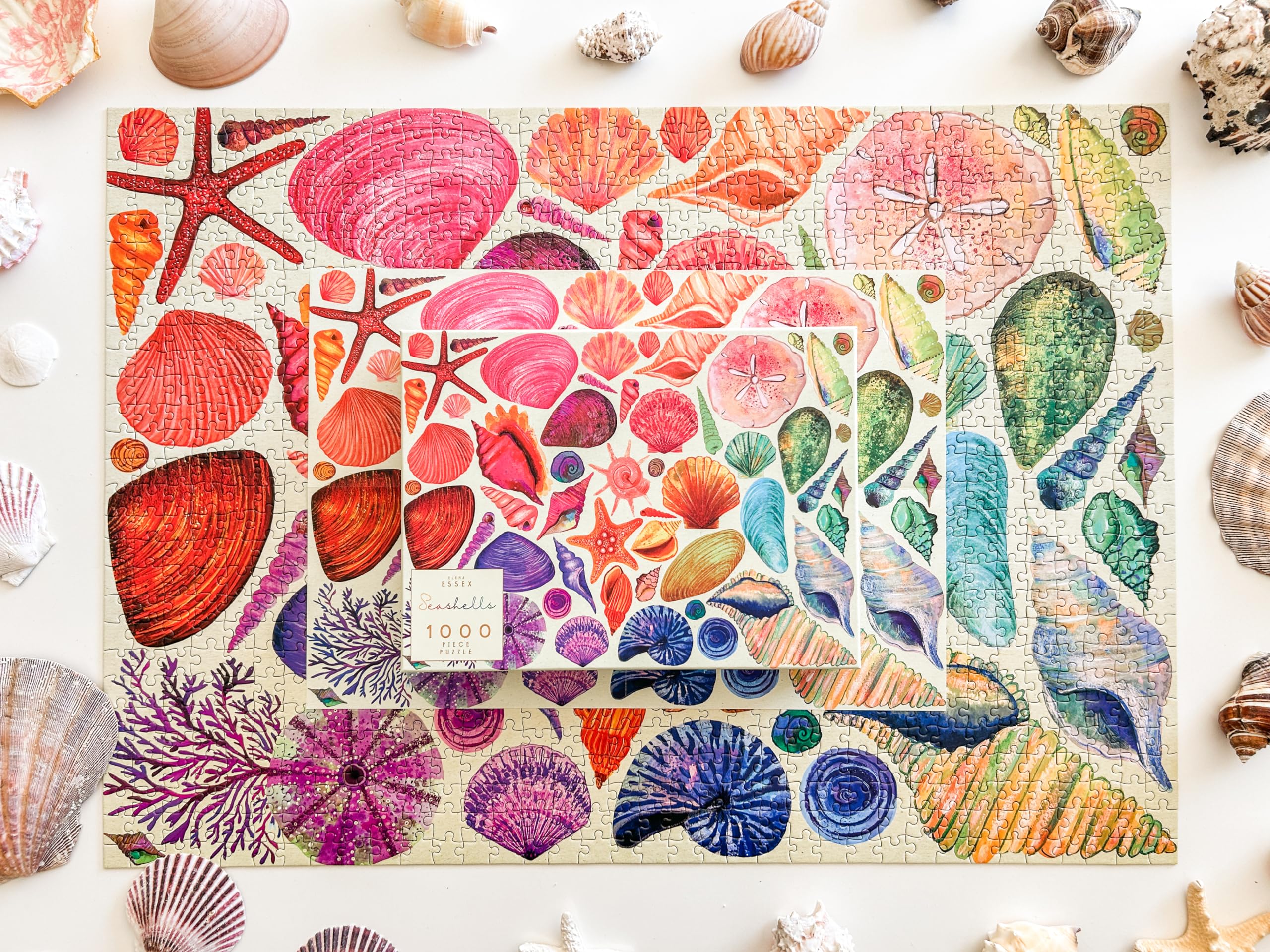 Elena Essex 1000 Piece Puzzle for Adults - , Puzzles for Adults 1000 Pieces, Colorful Beach Ocean Seashell, Puzzle 1000 Pieces, Size 28 x 20 inches: Sunrise