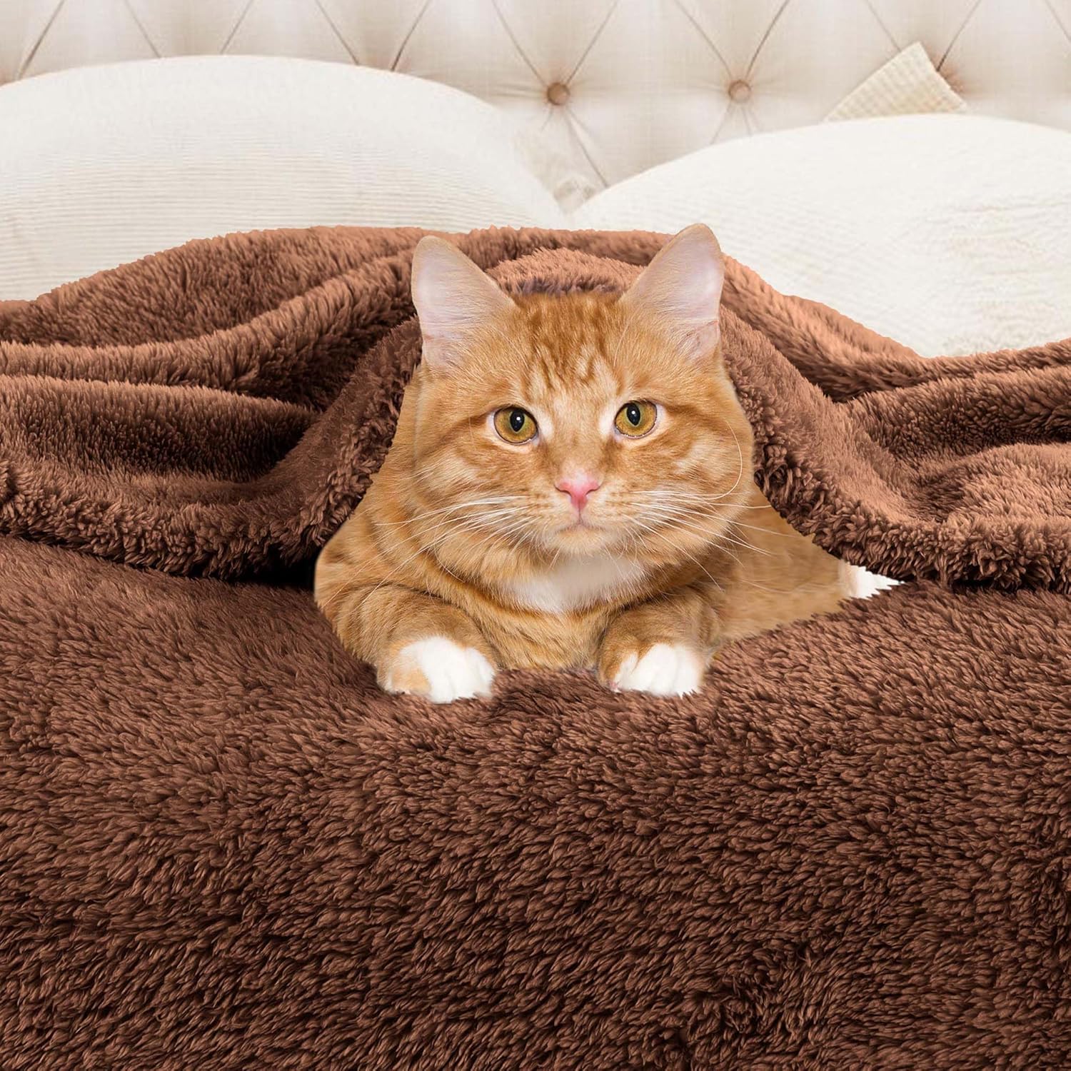 Superior Classic Solid Fleece Blanket, Thick, Cozy, Warm Blankets, Velvety Soft Plush Bedding and Sofa Throw, Cute Bedroom Decor, Fuzzy Cover, Medium Weight Comfort Essentials, Throw XL, Chocolate