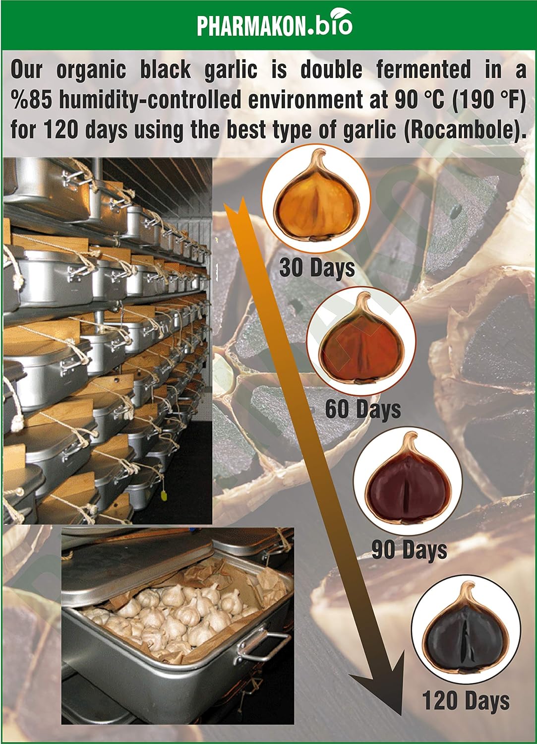 PHARMAKON Organic Aged Black Garlic, Potent Soft Capsules, Wholesome, Reduced Odor (240 Count) - Image 3