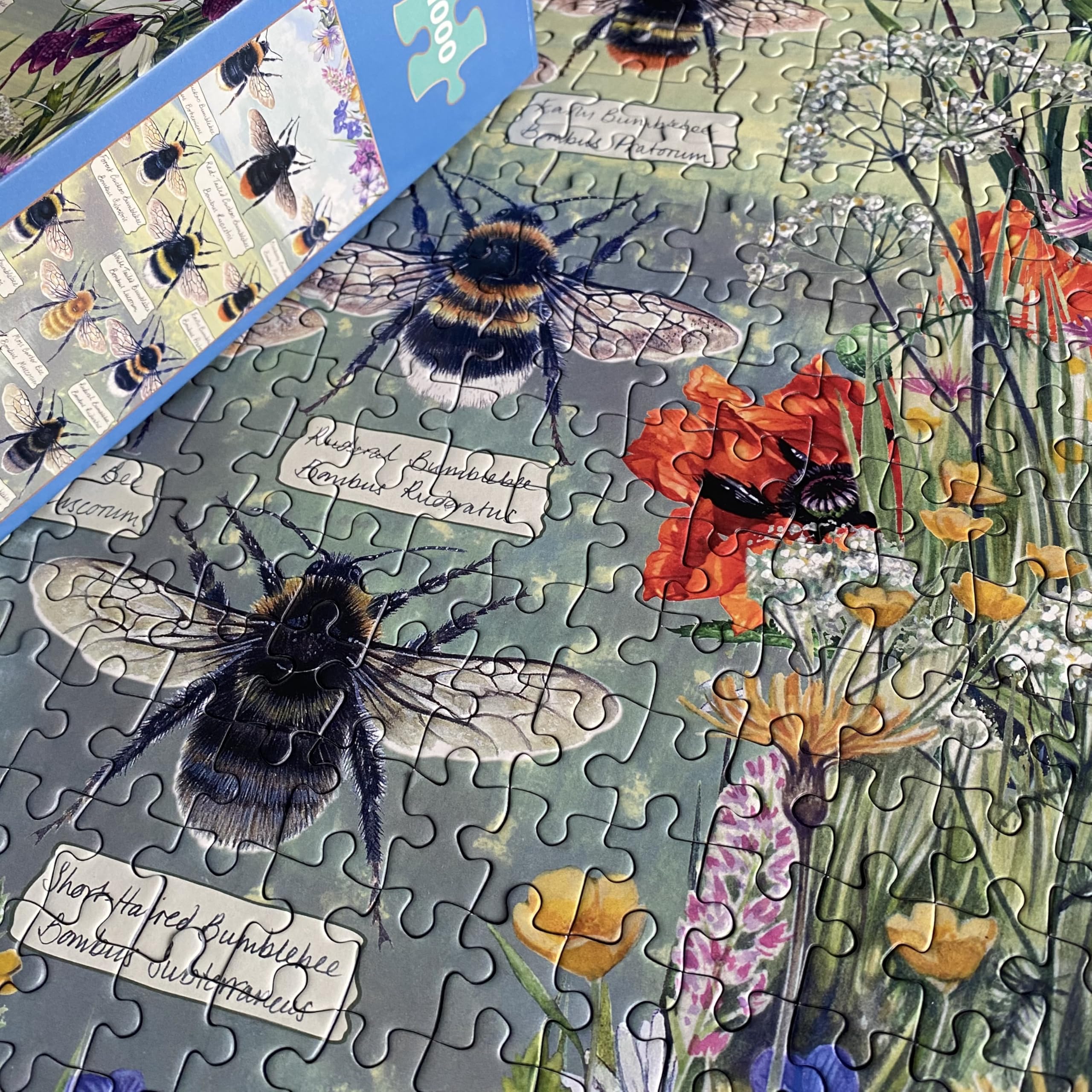 Gibsons Brilliant Bees 1000 Piece Jigsaw Puzzle, 48.5 cm x 68 cm - Image 2