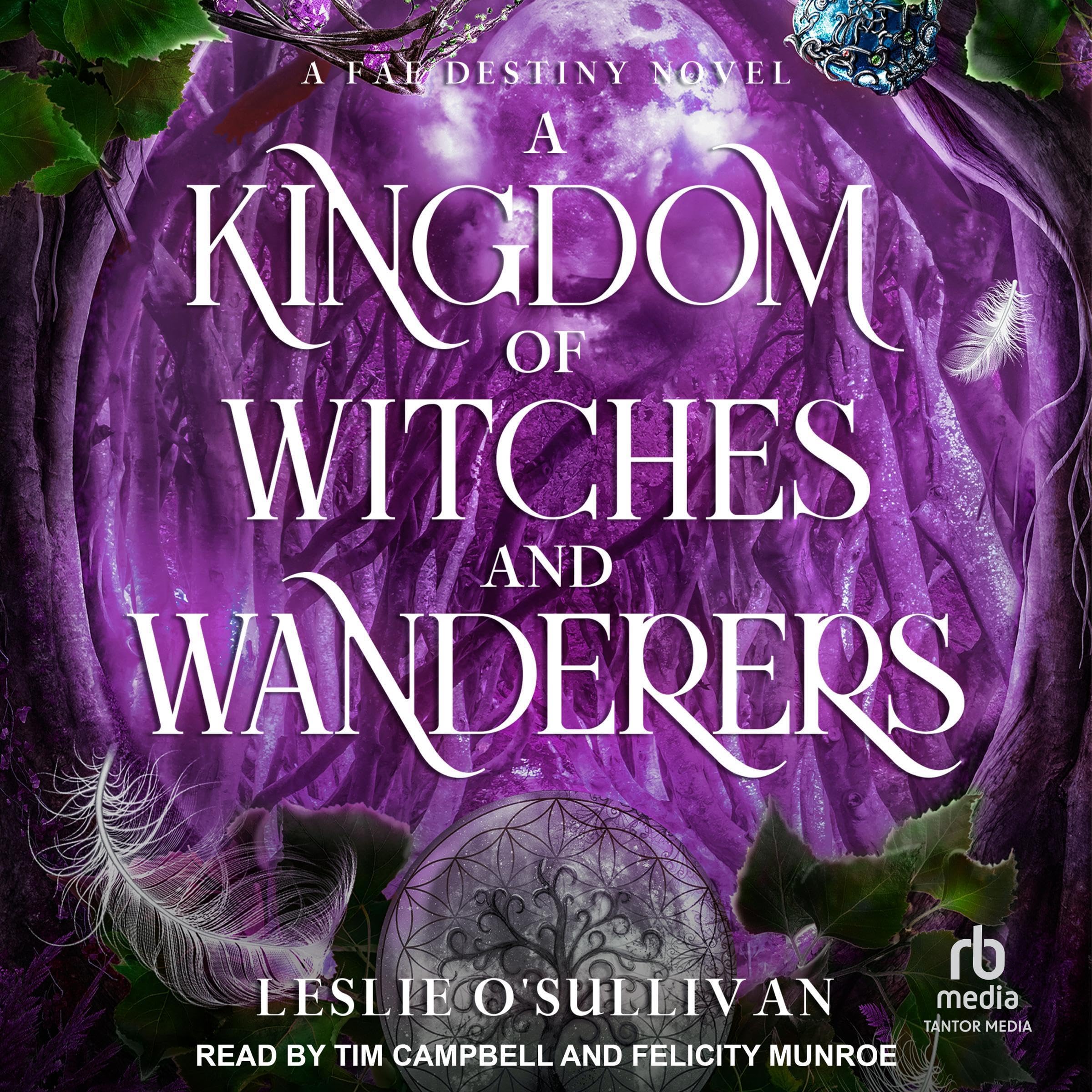 Cover art for A Kingdom of Witches and Wanderers