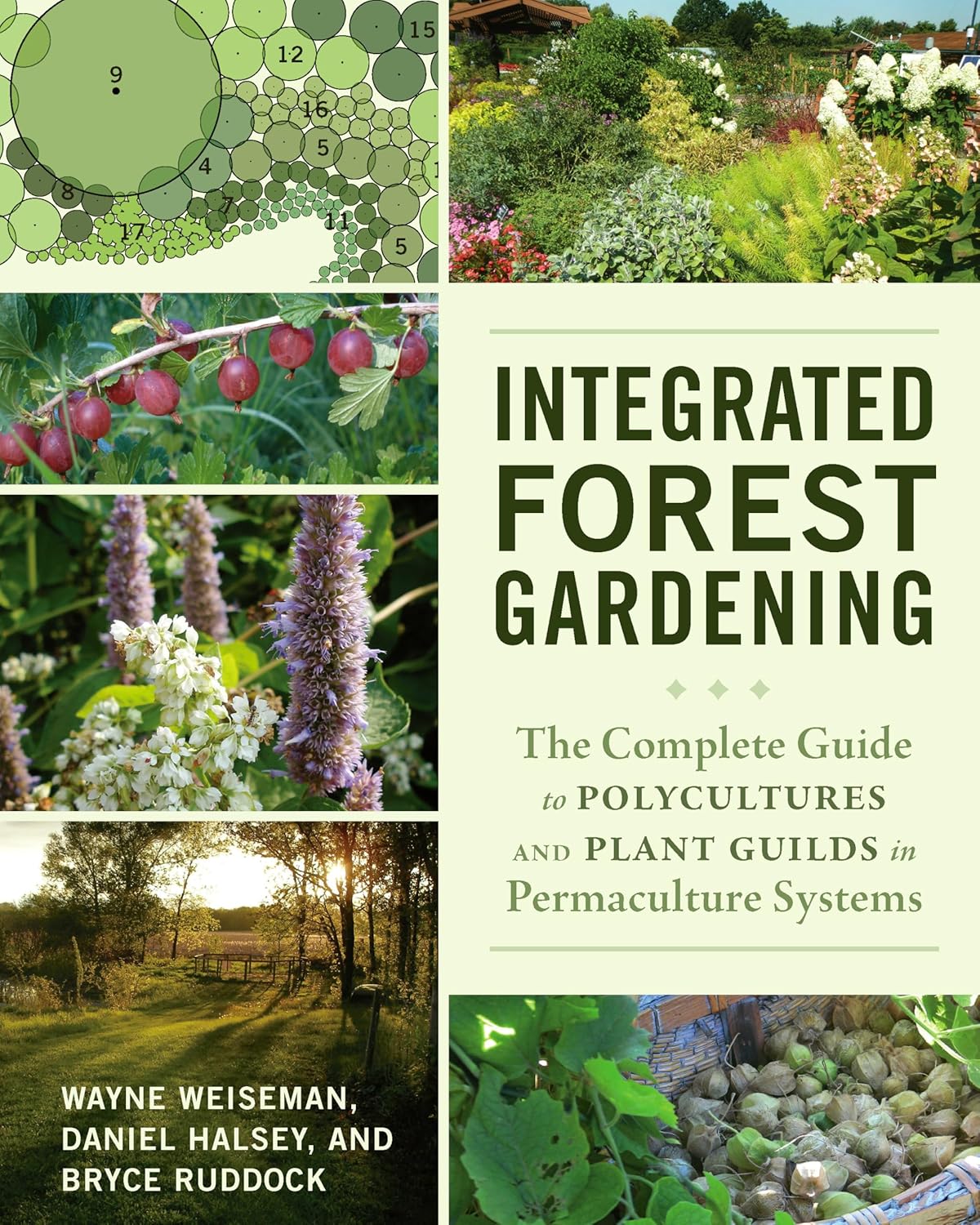 Integrated Forest Gardening: The Complete Guide to Polycultures and Plant Guilds in Permaculture Systems      Paperback – Illustrated, July 28, 2014