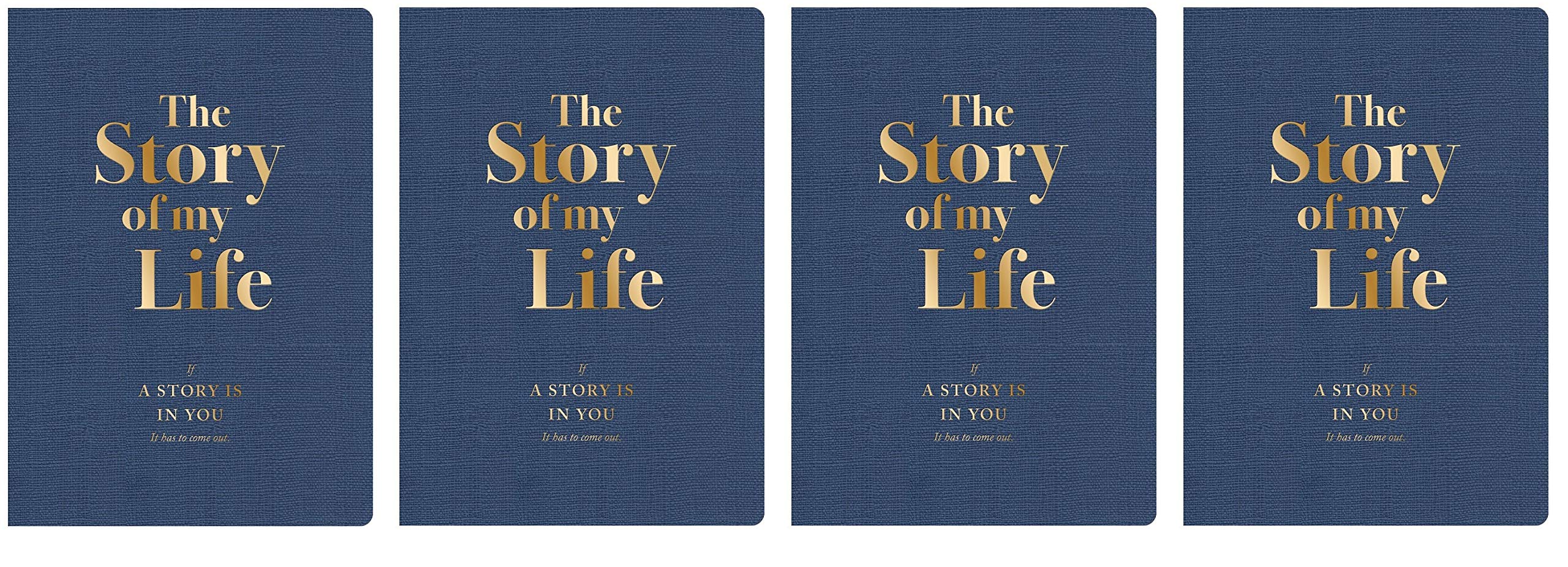 Piccadilly The Story of My Life: If a Story Is In You, It Has to Come Out (9781608631599) (4-Pack)