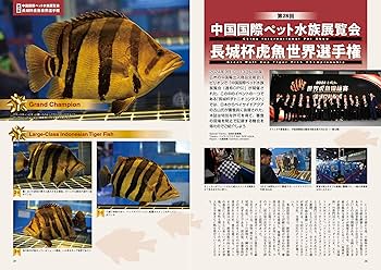 怪魚飼育マガジン GIGAS(ギガス) 2025 vol.08 [雑誌] | GIGAS