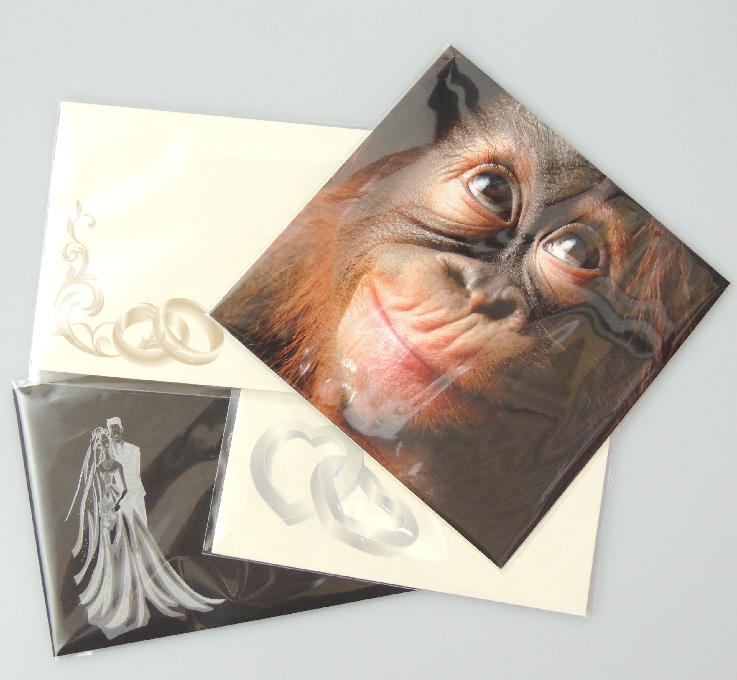 EPOSGEAR® C5/A5 230mm x 167mm Clear Cello/Cellophane Greetings Cards Display Bags (500)