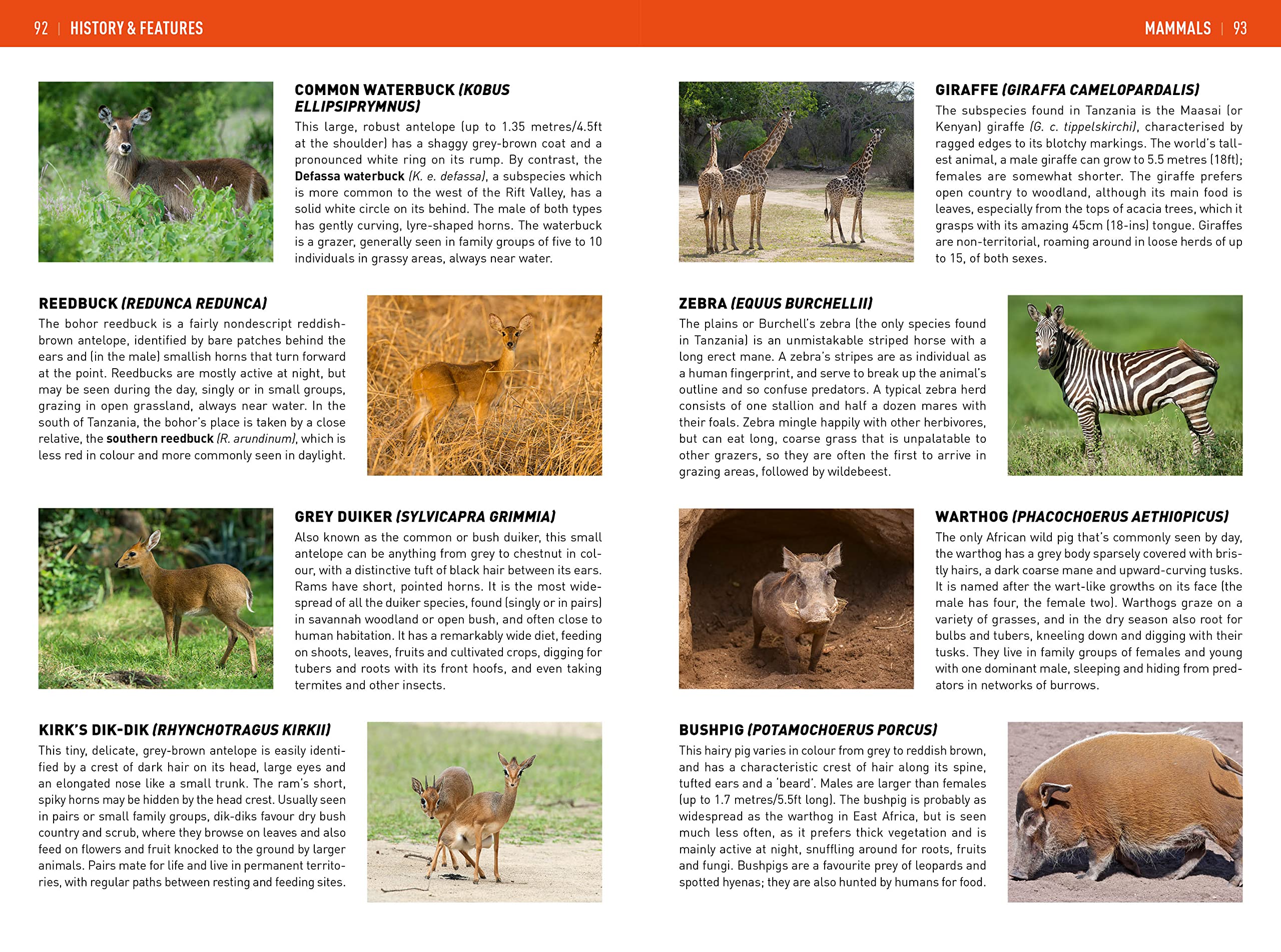 Insight Guides Tanzania & Zanzibar (Travel Guide with Ebook)