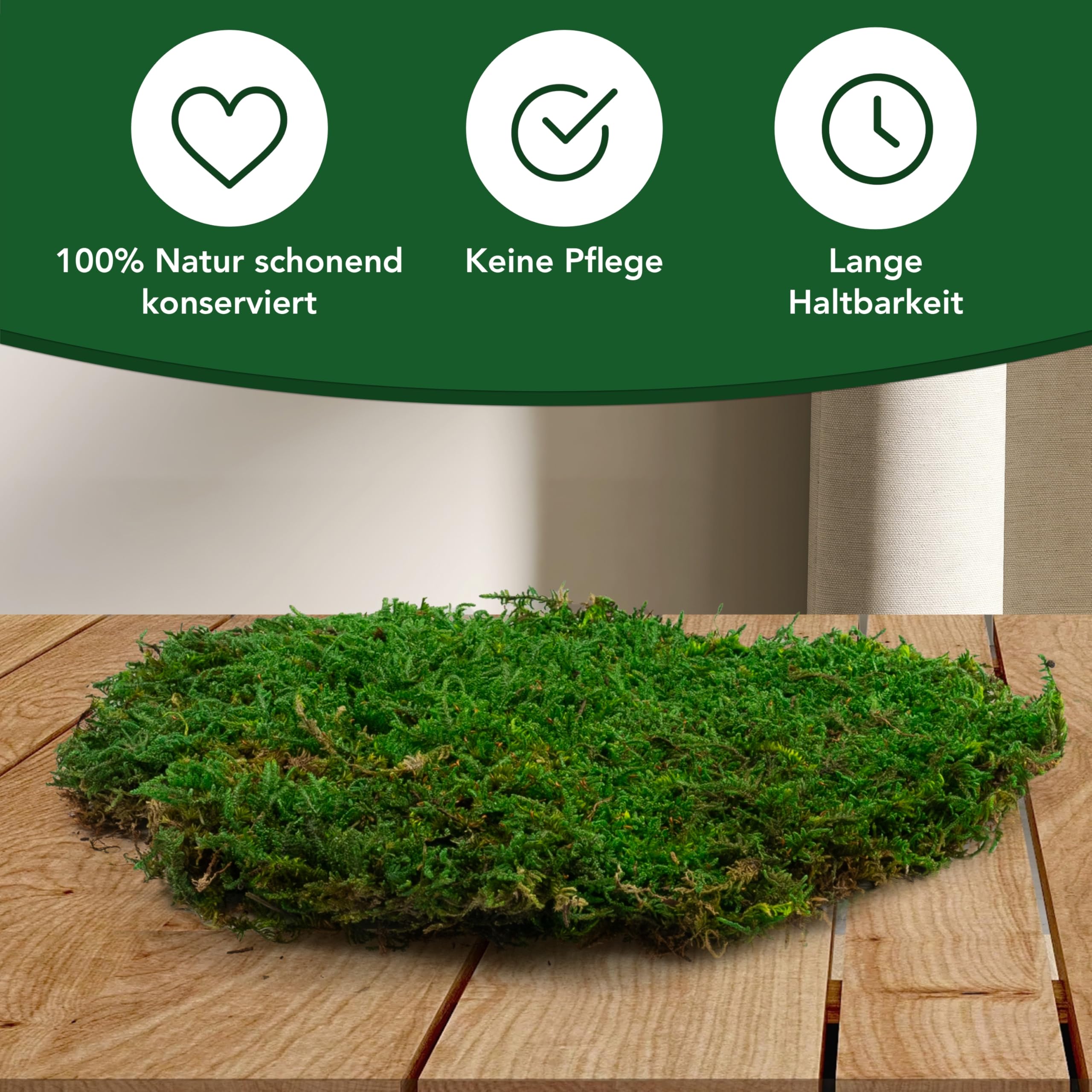 Sphagnum-Shop Plattenmoos konserviert Dekomoos Premium Qualität Grün 750g | Moos für Moosbilder, Moos Deko, DIY Moosmatten oder Moos zum basteln
