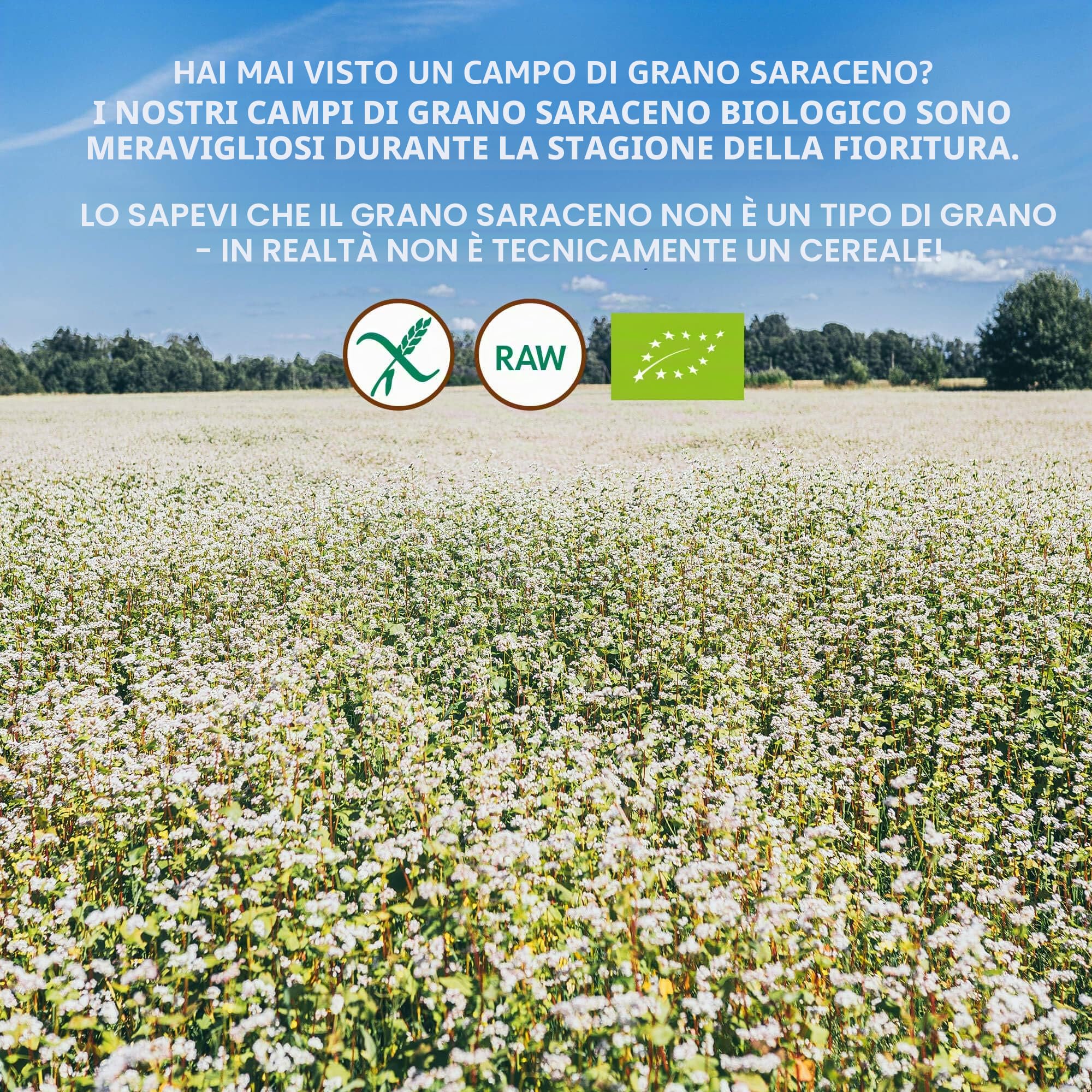 Semola di Grano Saraceno Crudo, Biologico e Senza Glutine, 1 kg, non Trattato Termicamente, Tutti i Nutrienti Sono Preservati, Sapore di Nocciola, Coltivazione Biologica in Clima Nordico, Non-OGM