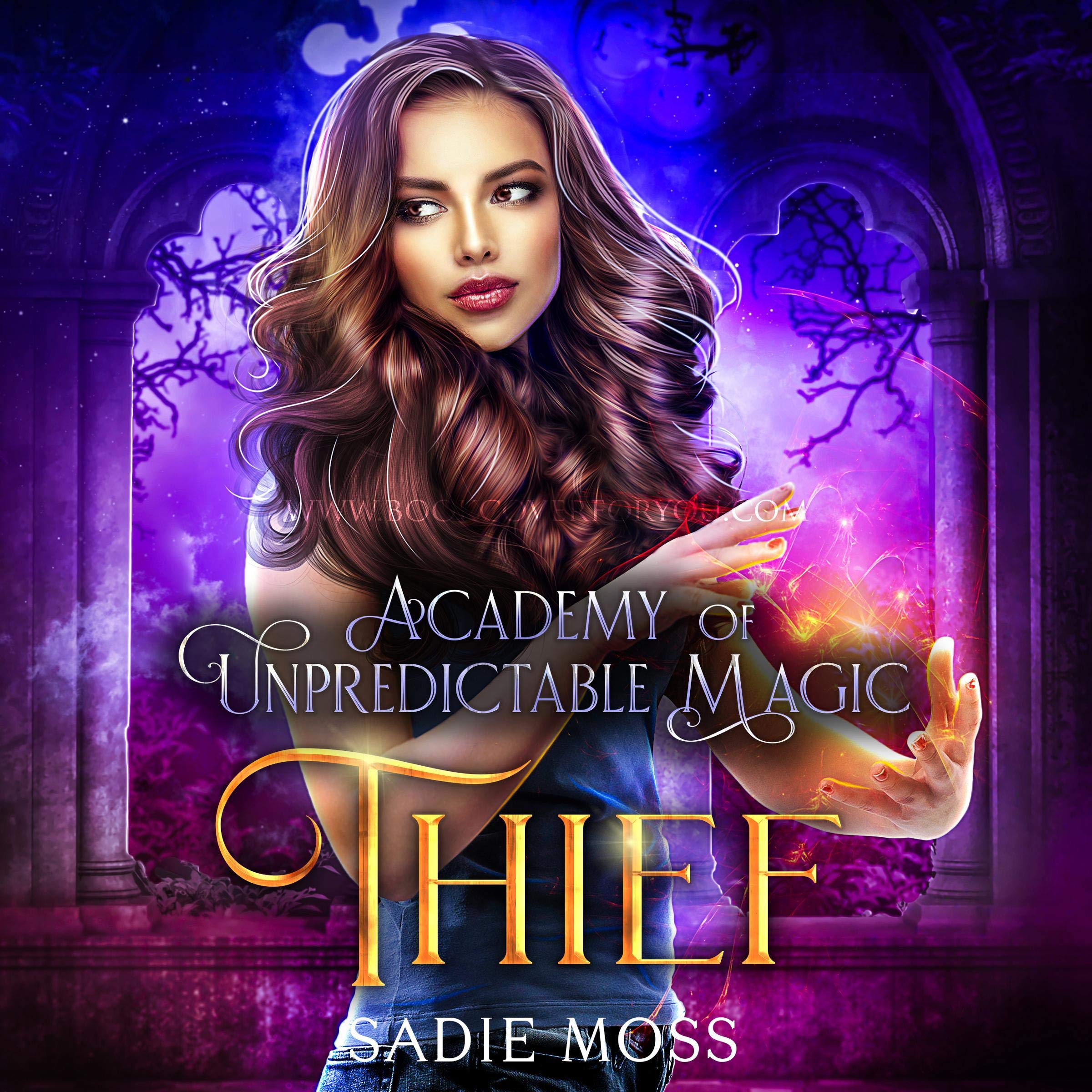 Cover art for Thief