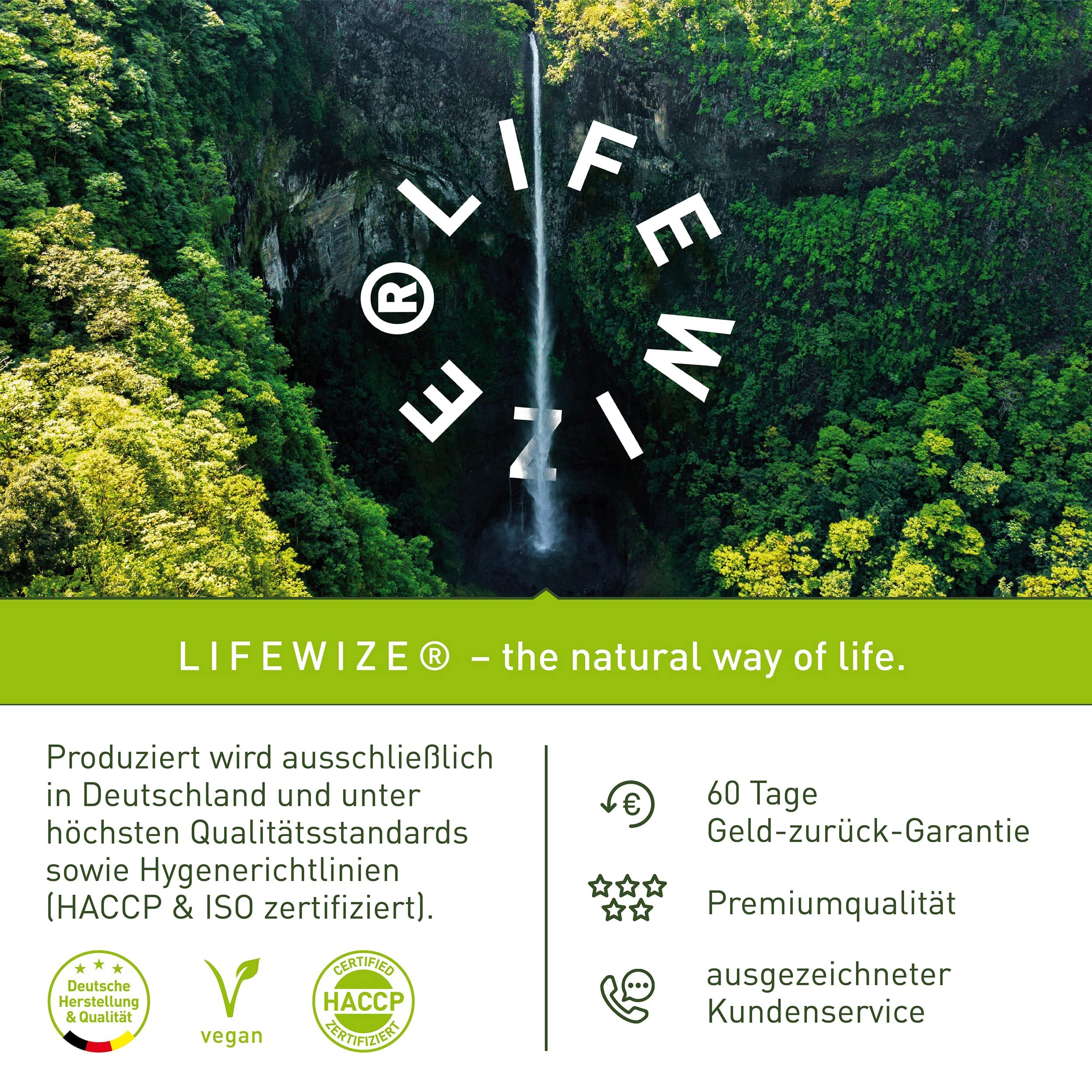 LifeWize® Artischocken Kapseln Hochdosiert mit 1400mg als 5:1 Extrakt = 7.000mg Artischocke pro Tagesdosis mit 2.5% Cynarin - 120 Vegane Kapseln ohne Zusatzstoffe