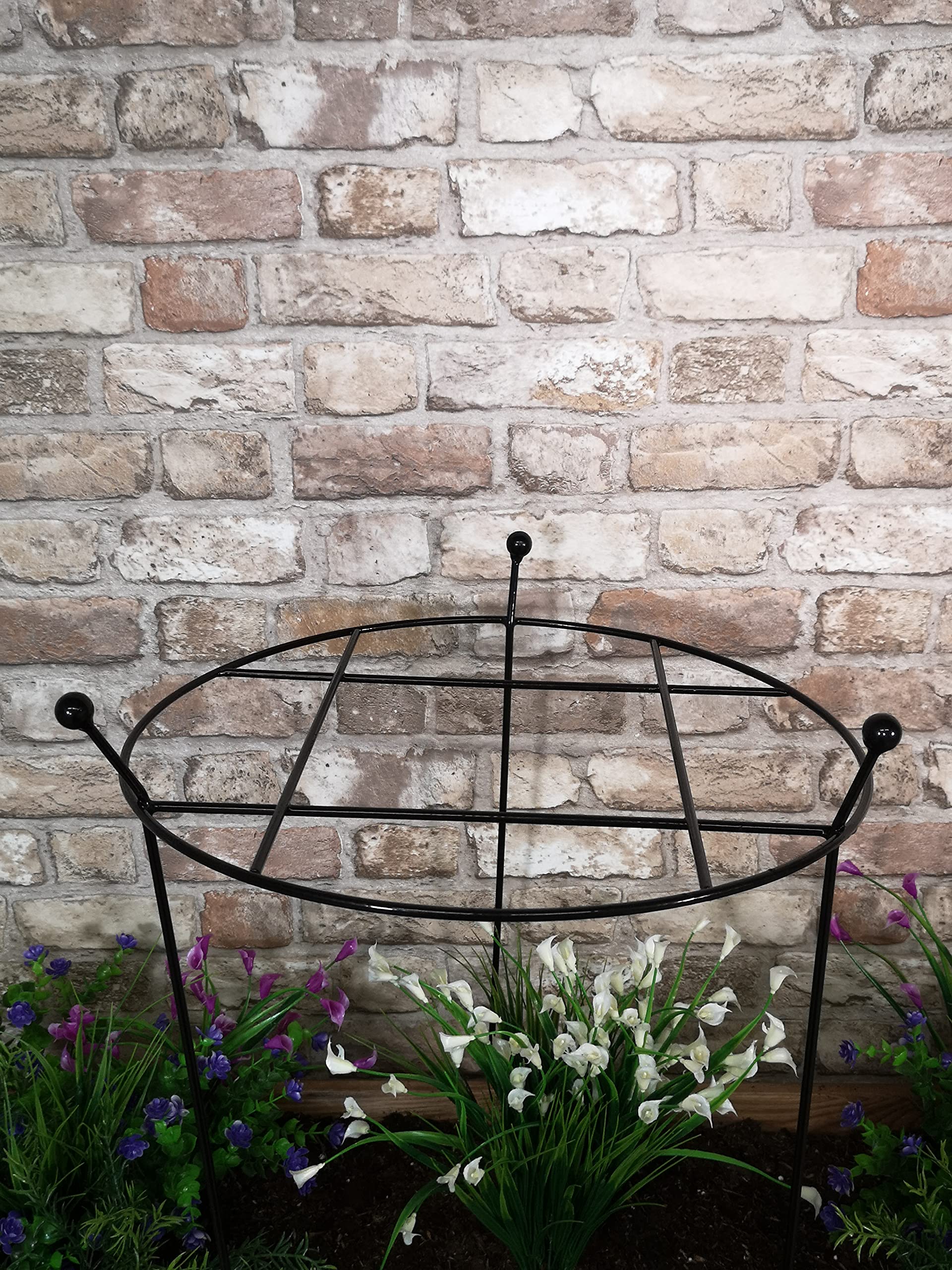 Samuel ALEXANDER Cottage Heavy Duty Black Metal Steel Herbaceous Garden Plant Support Grow Through Large 80cm x 45cm