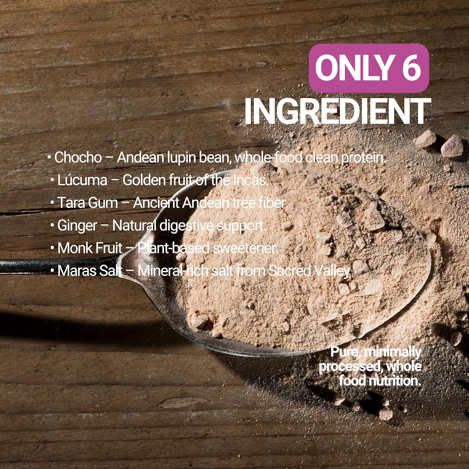 SEED Lucuma Protein Shake – Clean Plant Protein with Andean Chocho | Naturally Sweet Superfood Blend | 20g Protein | Low Sugar, High Fiber, Smooth & Creamy | Real Ingredients, No Additives