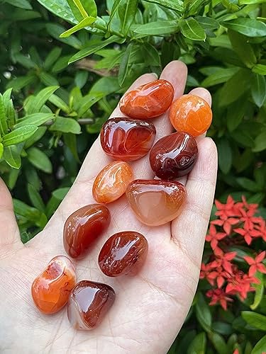 Miniatura 7 de GAF TREASURES Venta al por mayor piedra rodada, piedra preciosa pulida natural, rocas pulidas, cristales caídos, piedras para Wicca, Reiki, terapia,