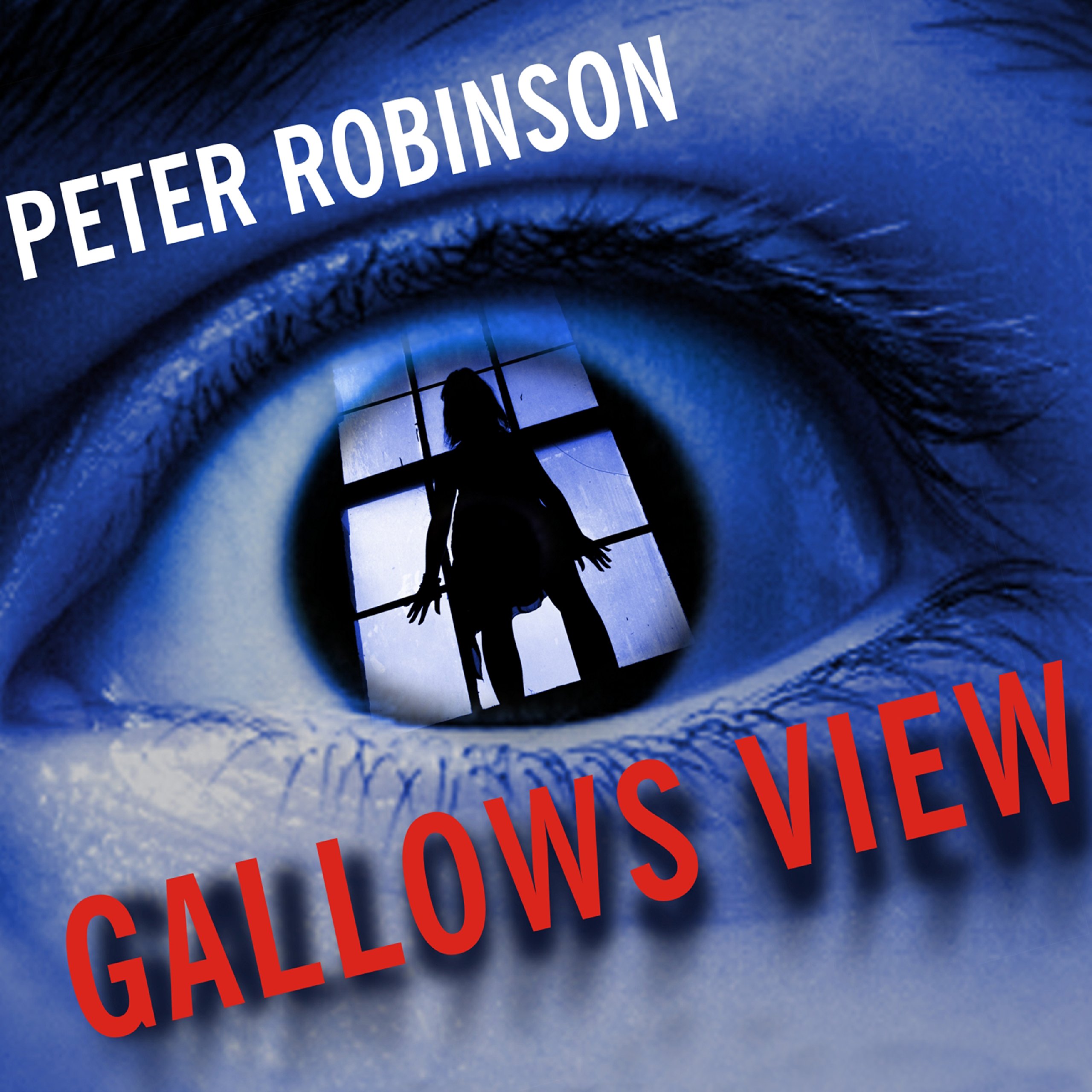 Cover art for Gallows View