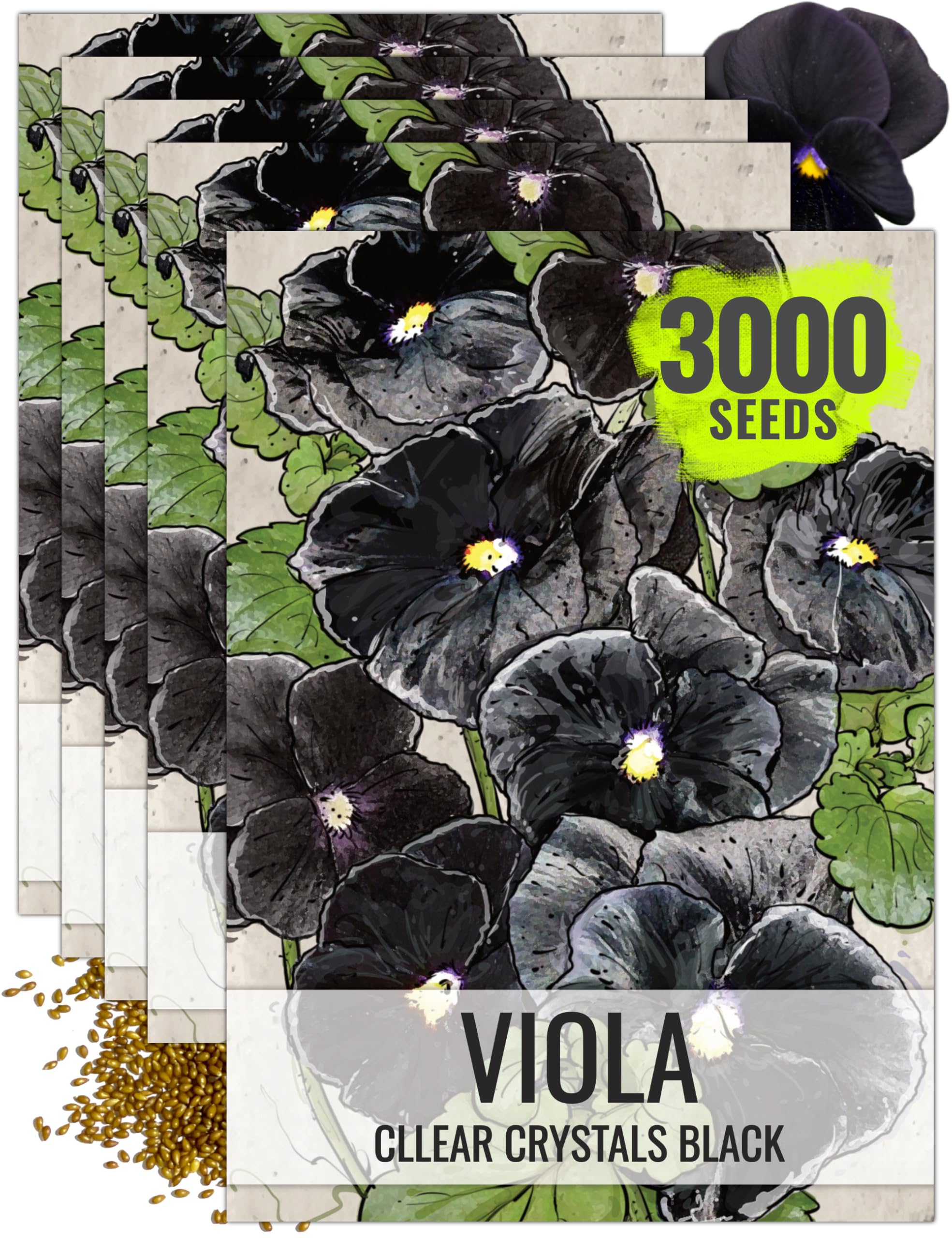 Seed Needs Clear Crystals Black Pansy Seeds