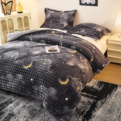 PAJEO Flannel Sherpa Comforters Queen Size, Soft Warm Reversible Plush Bedding C