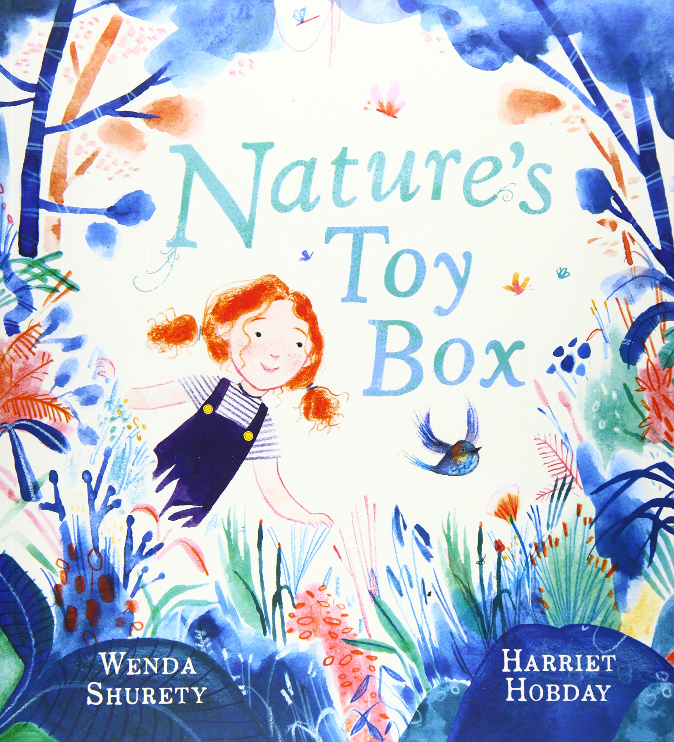 Nature's Toy Box by Wenda Shurety (Paperback Book)