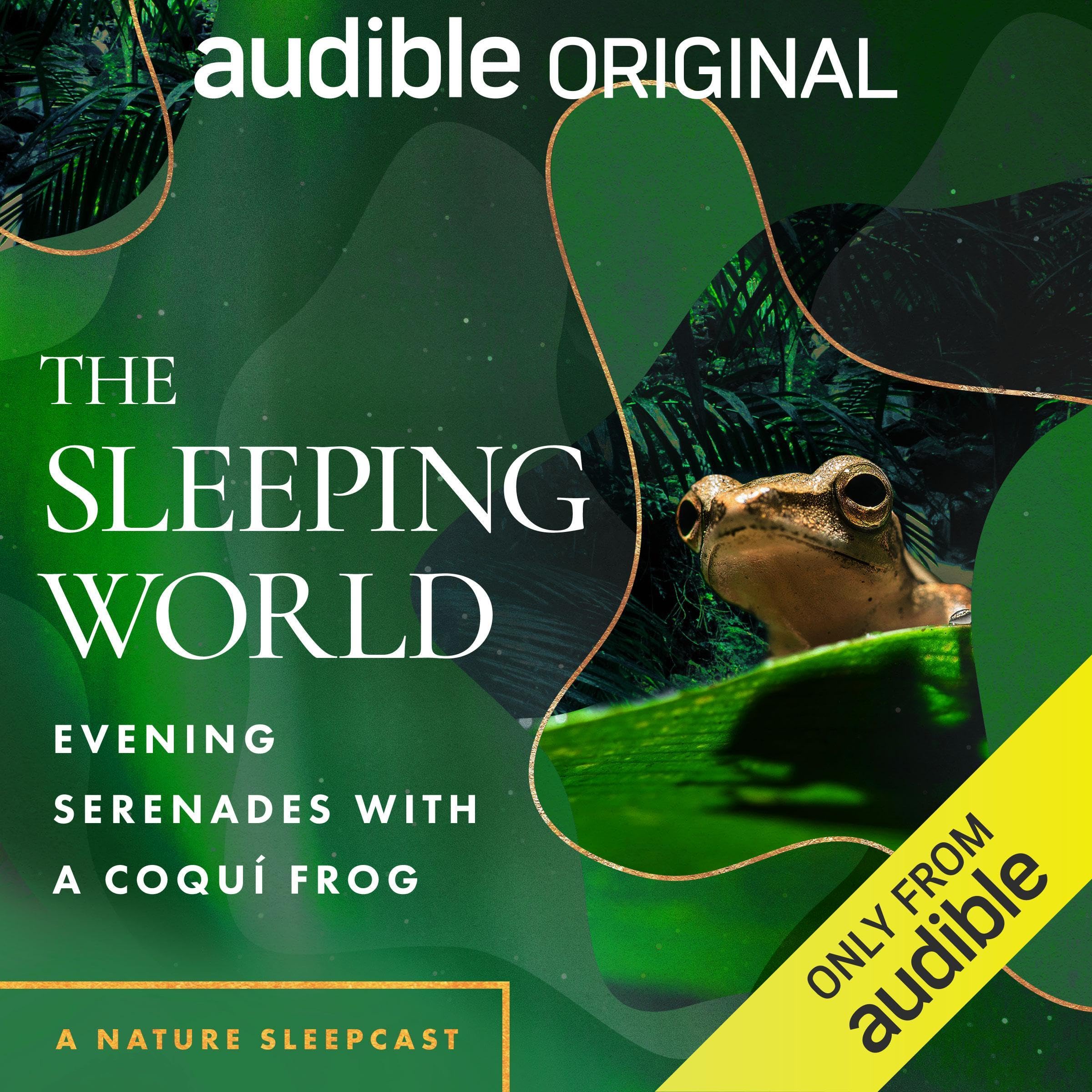 Cover art for The Sleeping World: Evening Serenades with a Coquí Frog