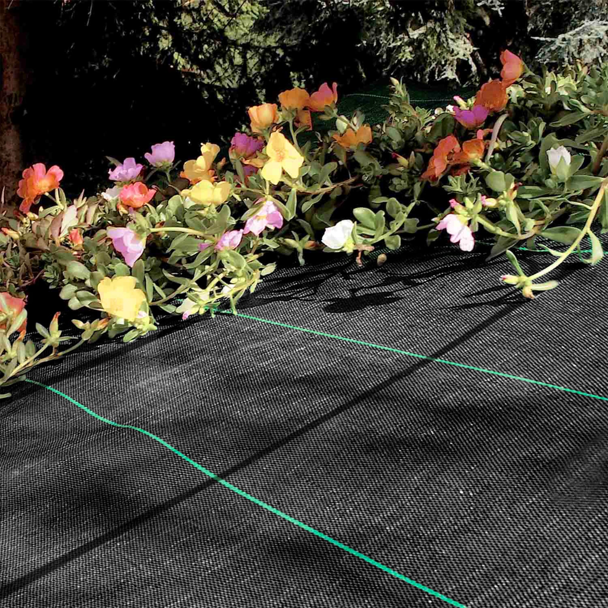 Telo Pacciamatura Antistrappo UV Resistente Permeabile Drenante Orto Giardino Serra Polipropilene Contro Le Erbacce Copertura Pacciamante Super Resistente Stop Erbe Infestanti (Standard - 1 x 20 m)