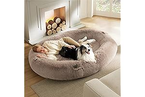 Bedsure Totoro Bed: Tranquil Sleep for Humans and Canines Alike
