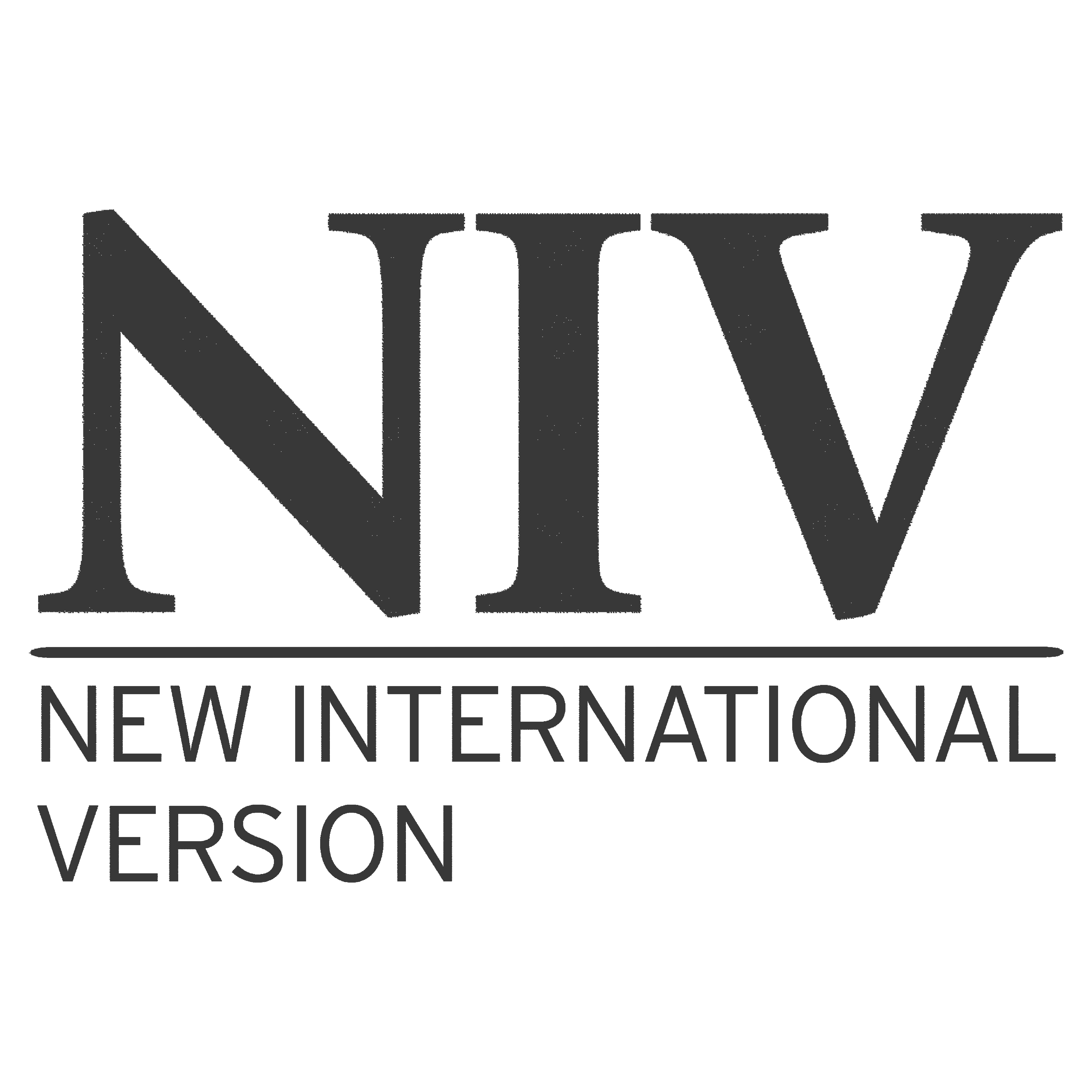 Amazon.co.uk New International Version books, biography, latest update