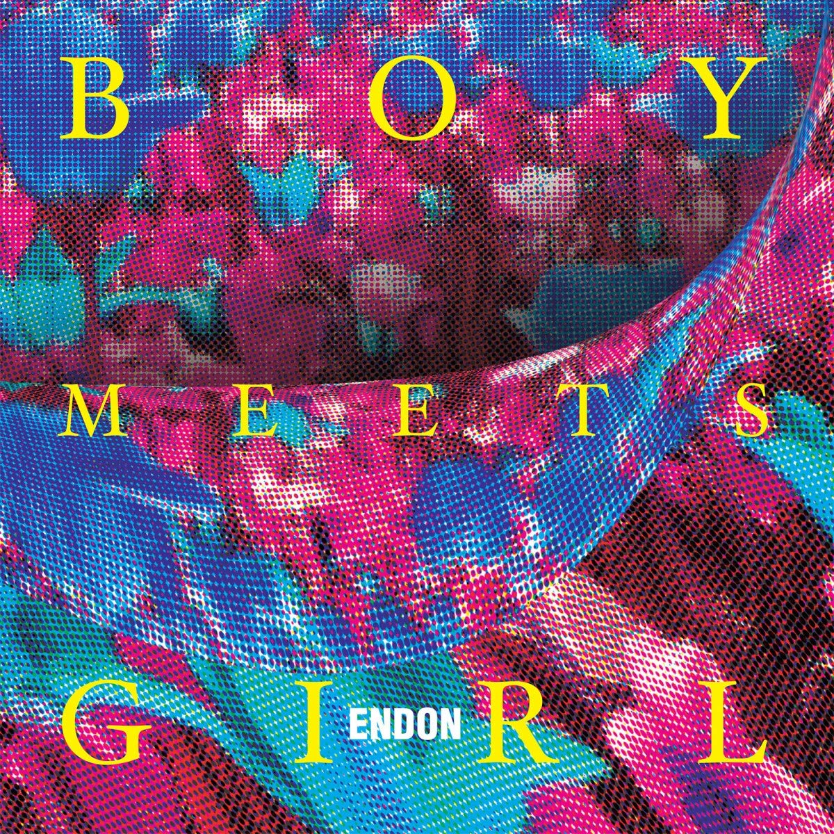 Boy Meets Girl [VINYL]