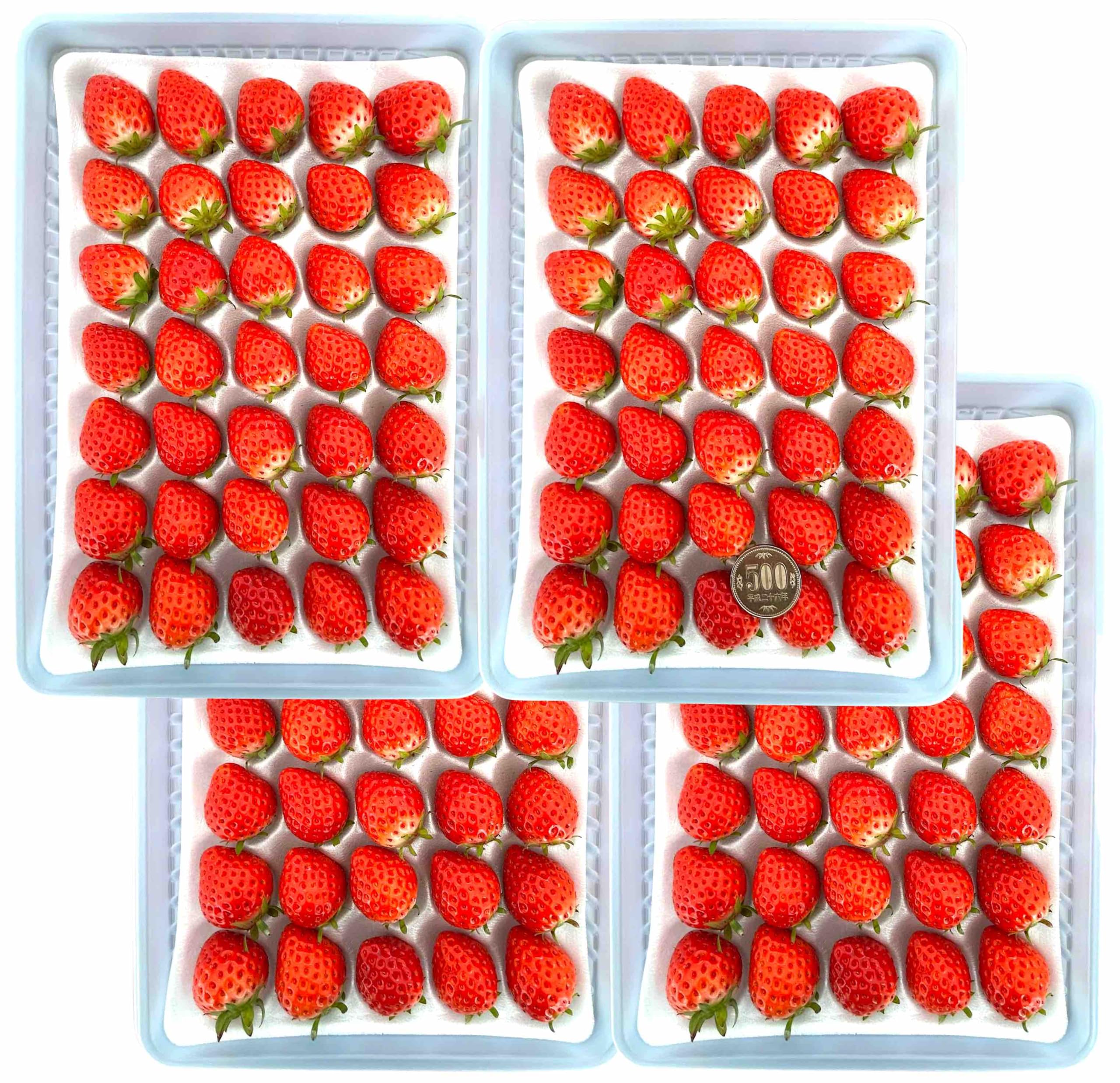 Amazon | 【 極・スイーツ／生食用 絶品 いちご 低農薬 】高糖度:15度  