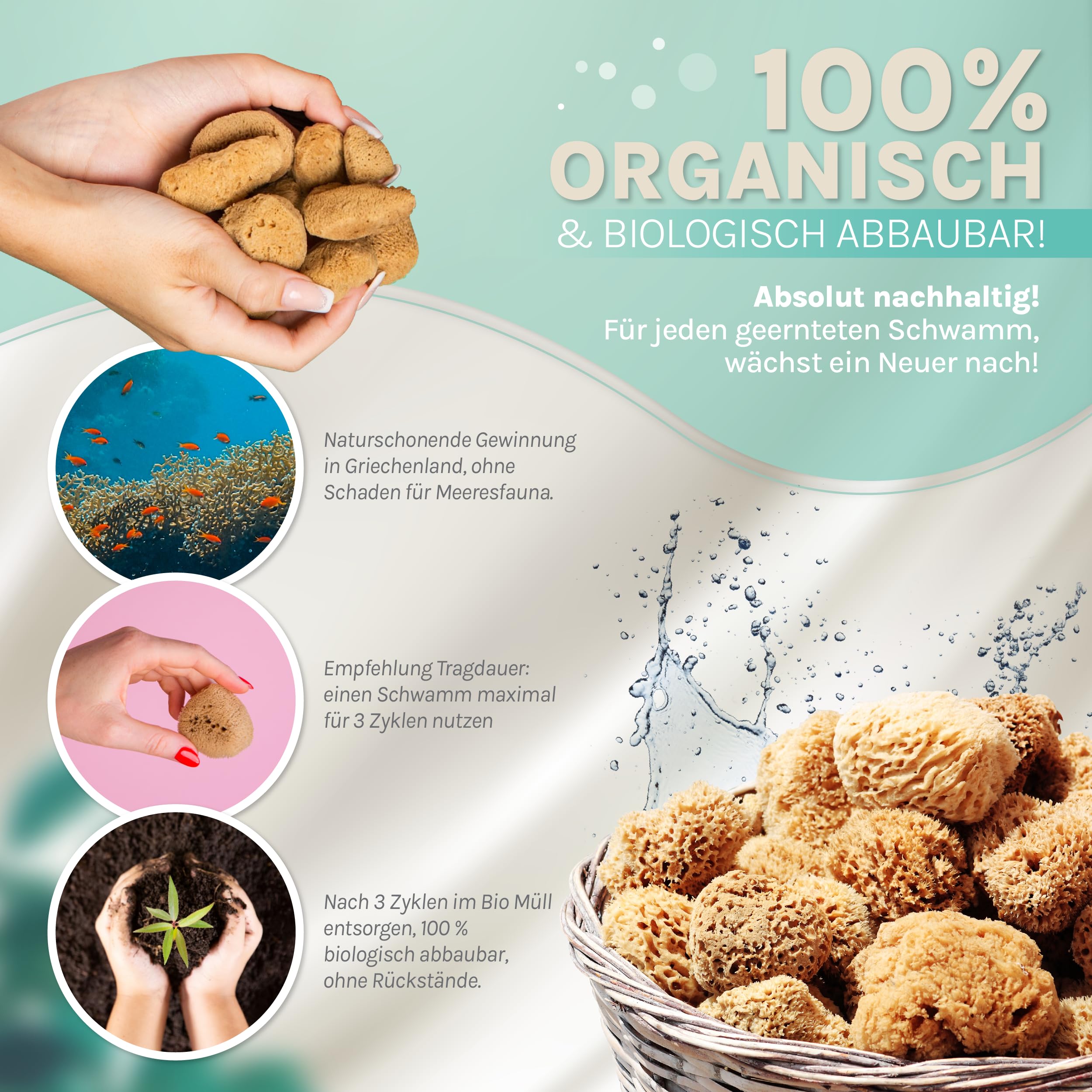 Menstruationsschwamm | Alternative zum Soft Tampon | Naturschwamm als Perioden-Schwamm | wiederverwendbar | 3xM