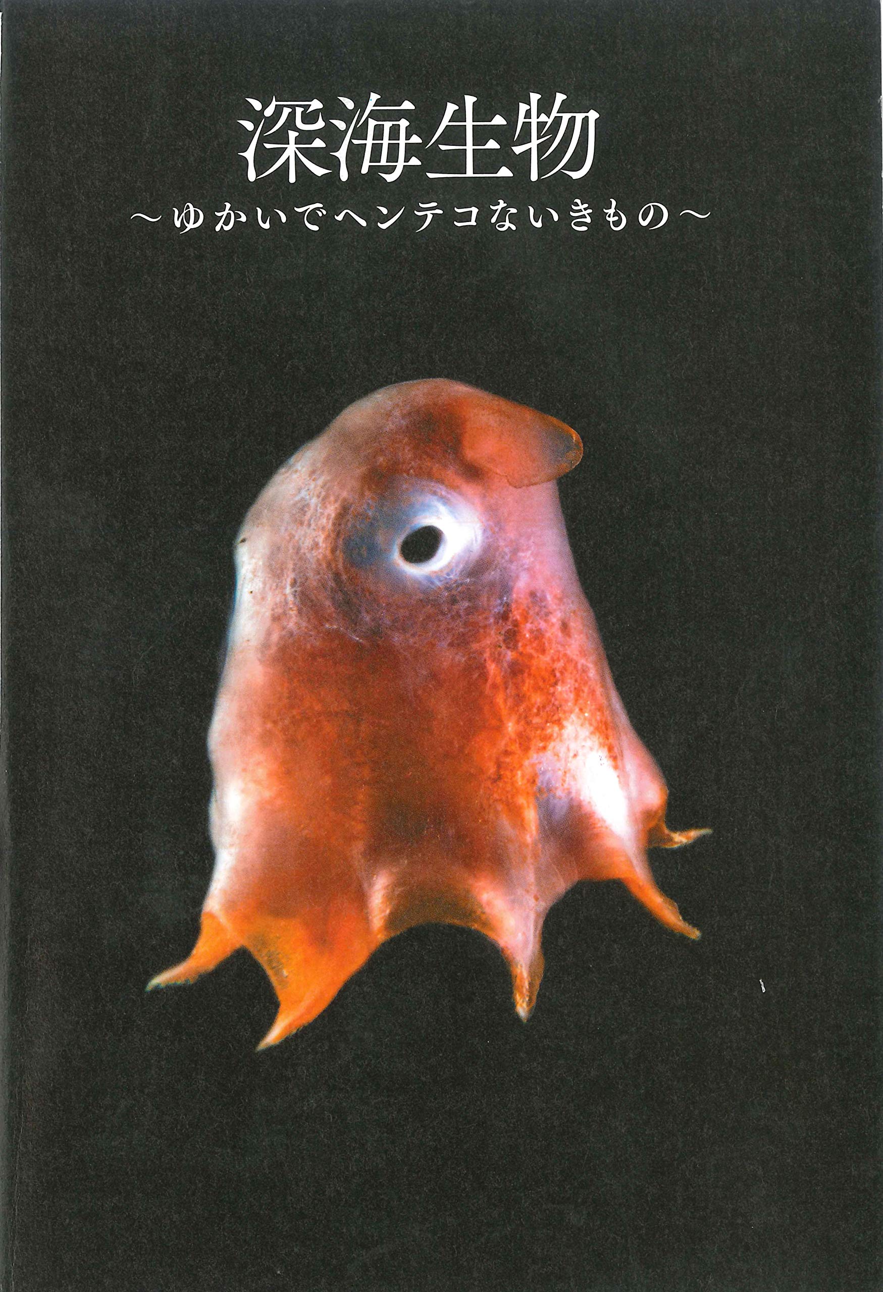 深海生物 ゆかいでヘンテコないきもの ｄｖｄ付き 石垣 幸二 阿部 秀樹 本 通販 Amazon