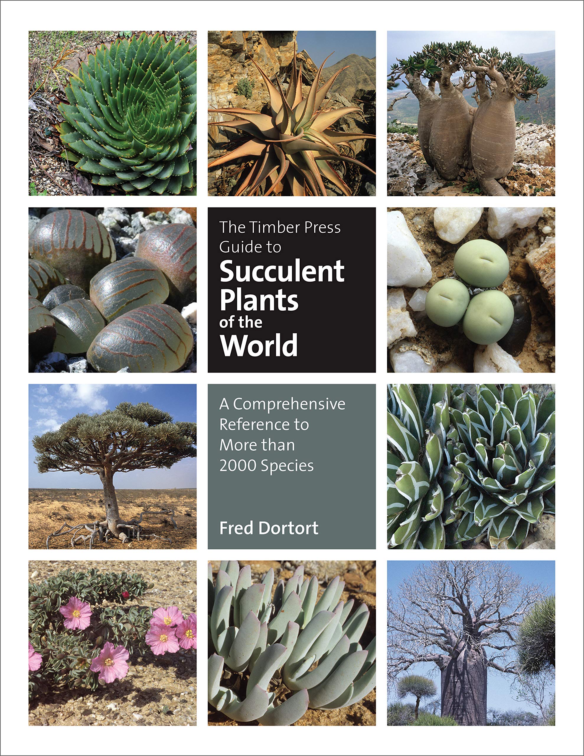 Amazon The Timber Press Guide To Succulent Plants Of The World A Comprehensive Reference To More Than 00 Species Dortort Fred Ornamental Plants