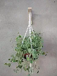 Floreira De Macramê Plant Hanger Suporte Suspenso Cru 24 Fios 4 Alças