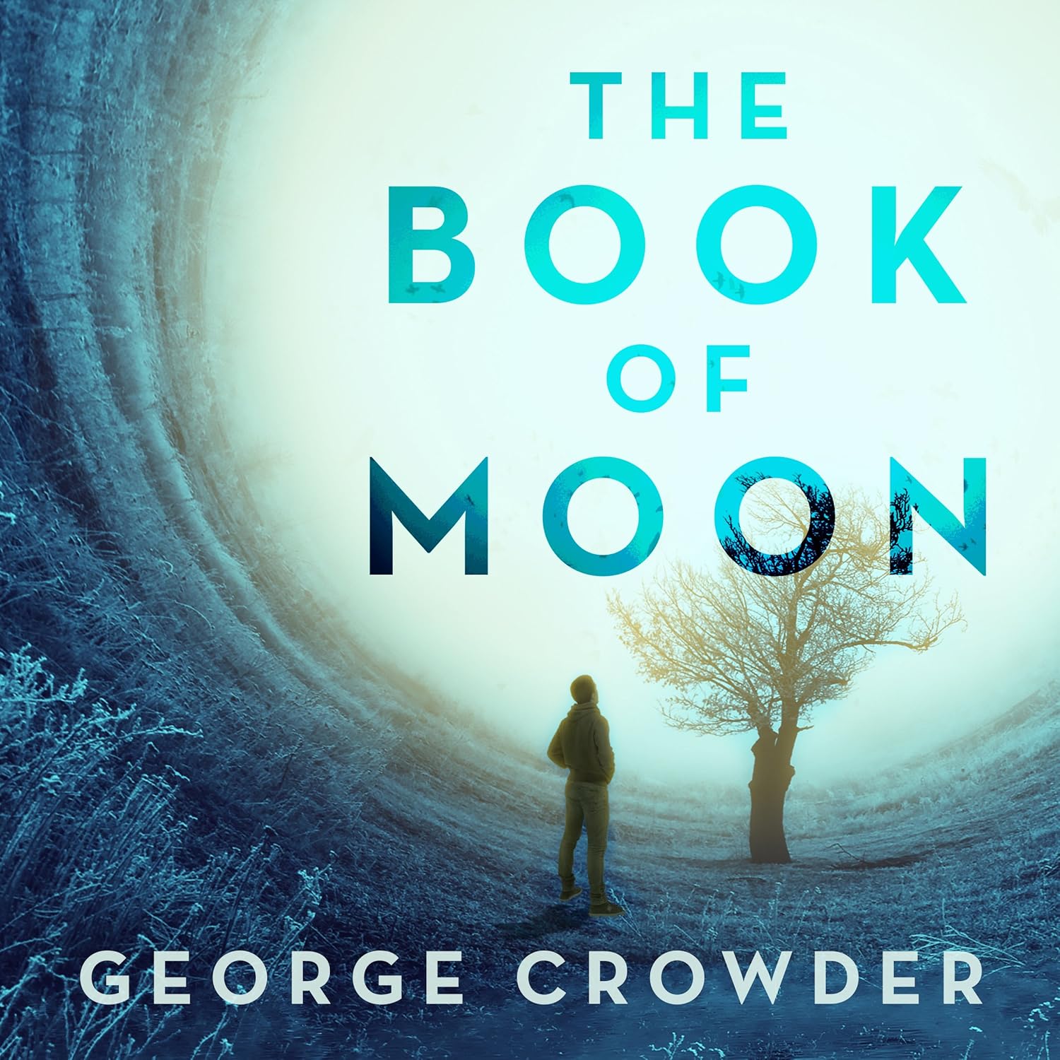 Amazon.com: The Book of Moon (Audible Audio Edition): George Crowder ...