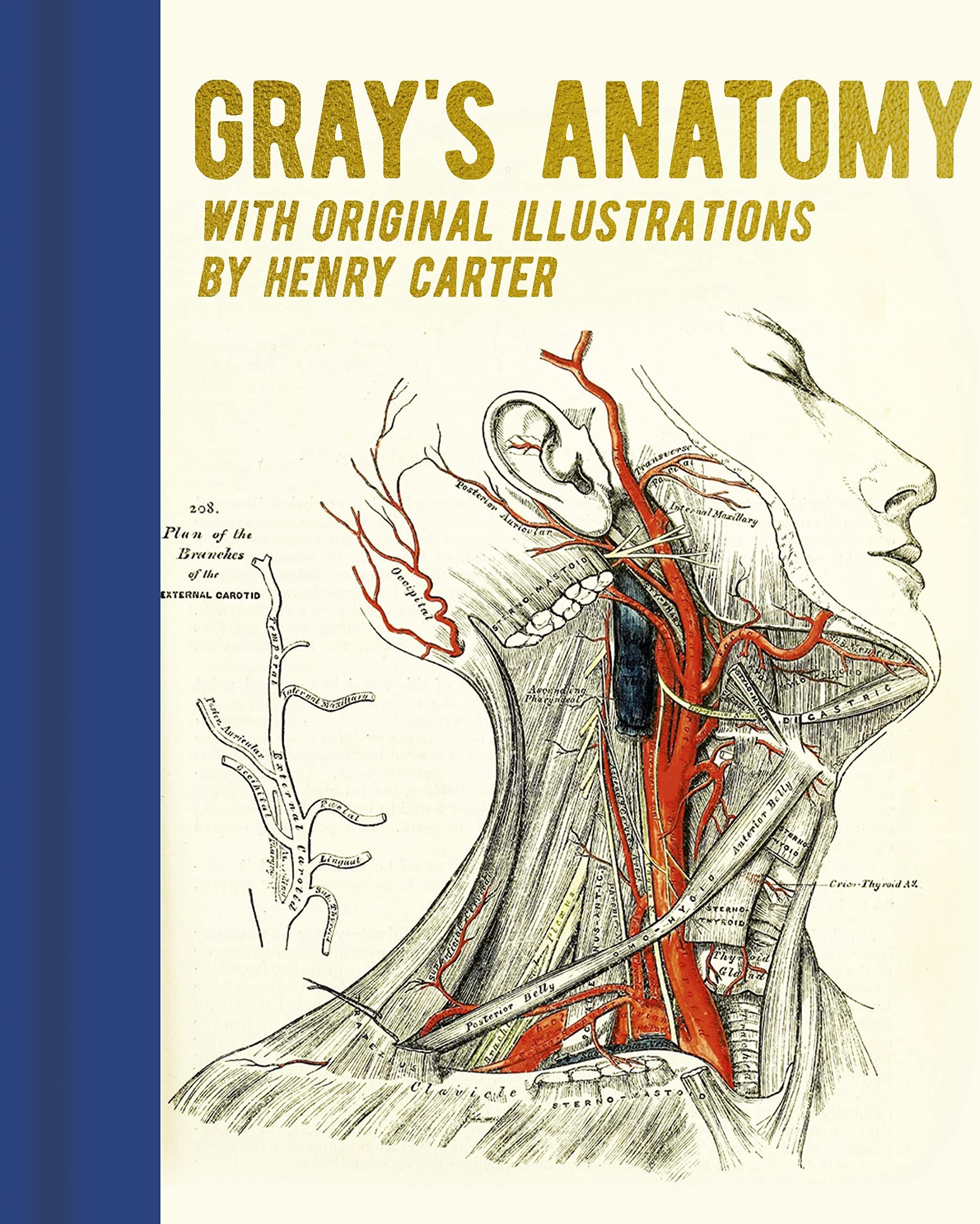 Gray's Anatomy: With Original Illustrations by Henry Carter