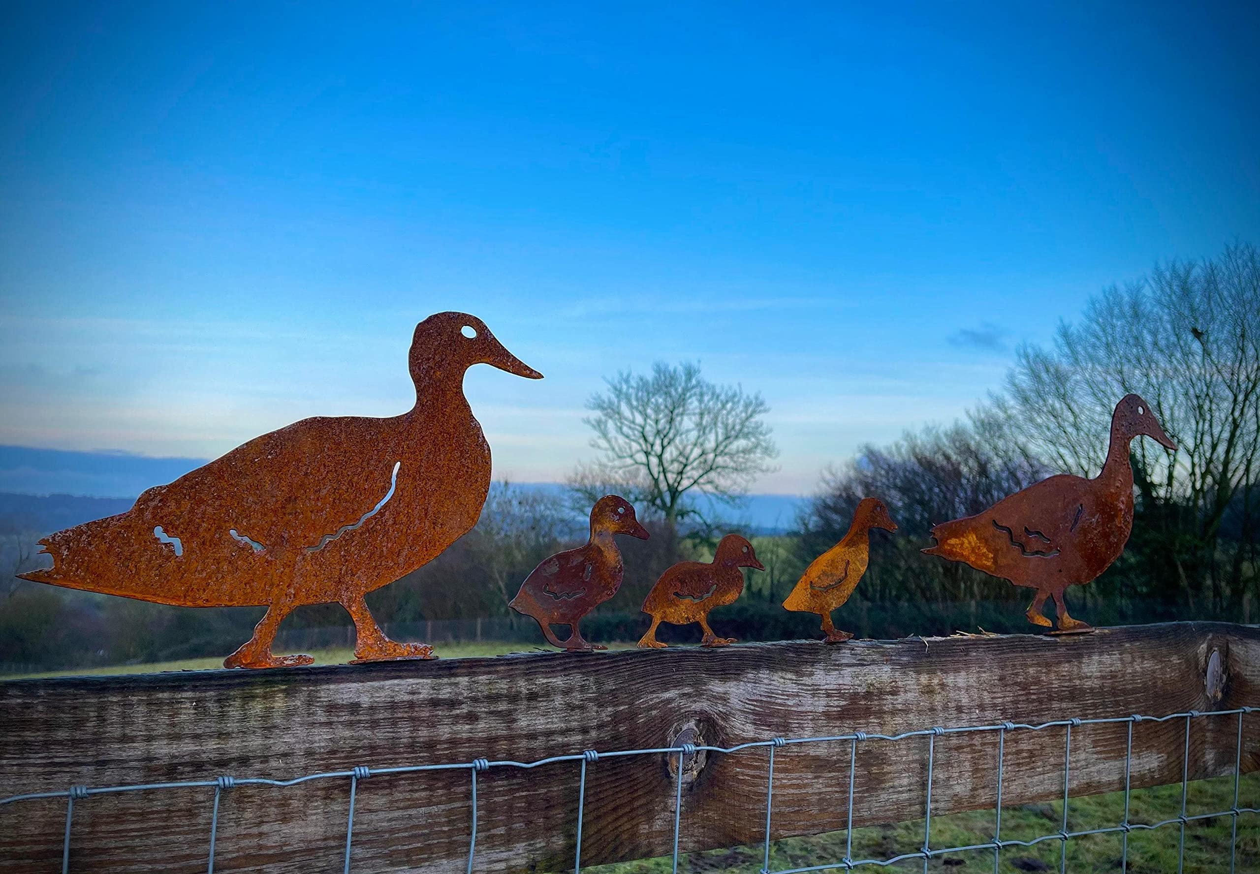 Esterno Rusty Metallo Anatra Famiglia Ciarlatano Fattoria Animale Recinzione Topper Giardino Arte Stagno Arte Verdura Patch Scultura