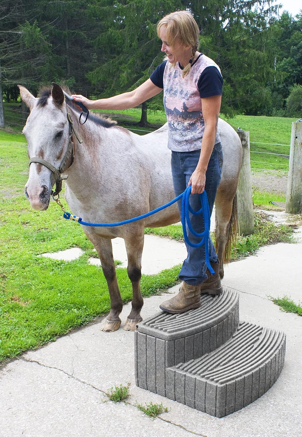 Good Ideas SSTEP-DAR Store-A-Step Storage Step, Dark Granite