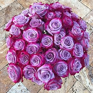 Amazon Com Fresh Cut Flowers Purple Fresh Cut Flowers Fresh Flowers Live Indoor Pla Grocery Gourmet Food