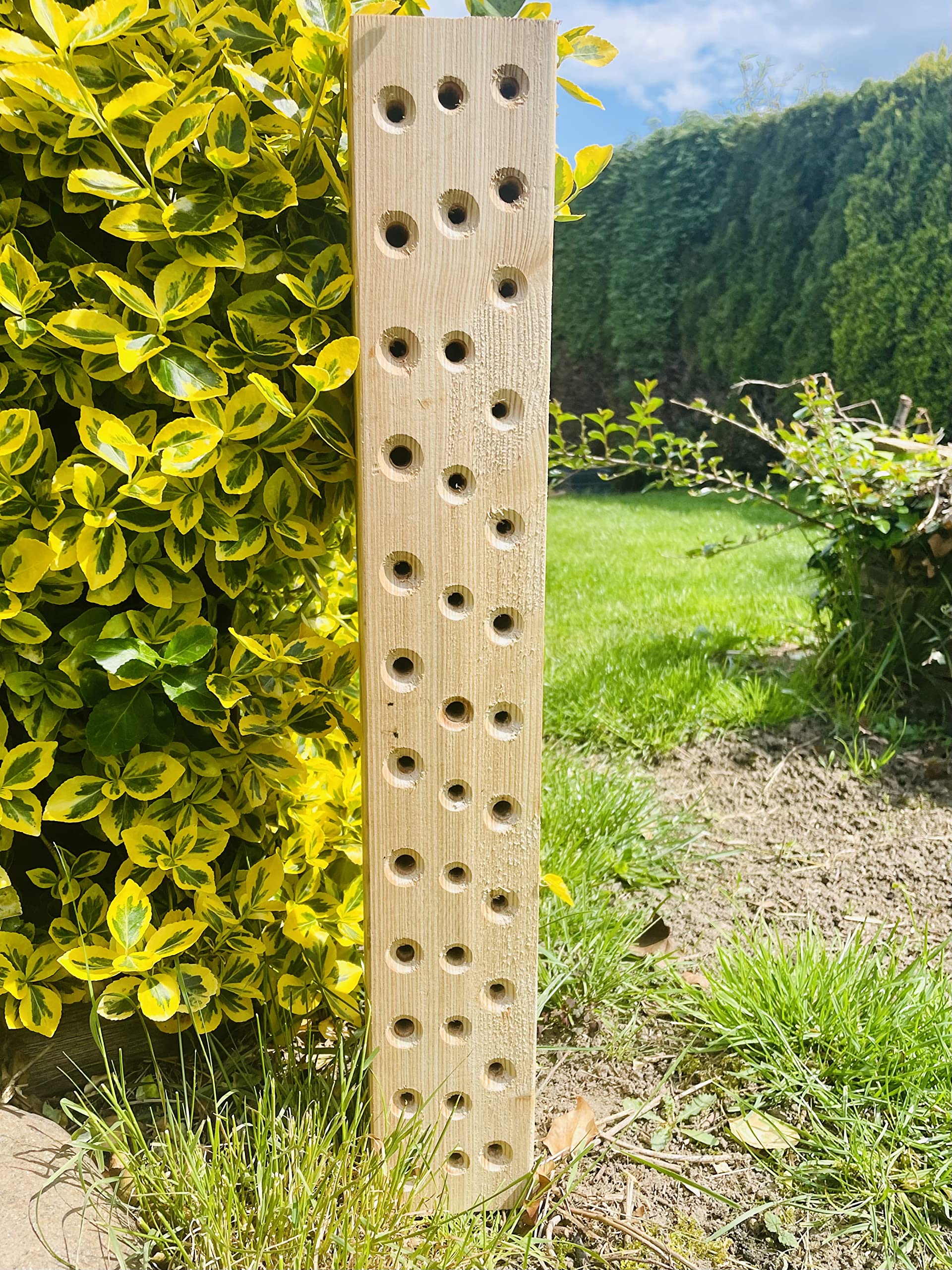 Wildbienen - Insektenhotel Nisthilfe Hartholz Stamm Naturbelassen 600 mm Bienenhotel Stamm Insektenhotel Wildbienen Massivholz Hartholz Wildbienenhotel